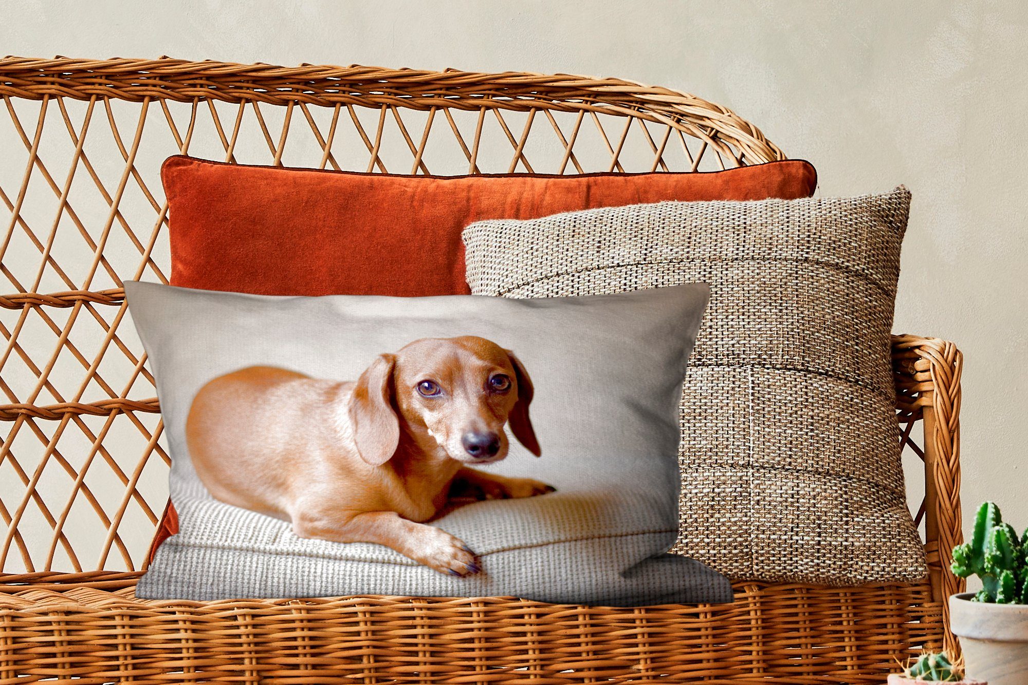 Wohzimmer Dekokissen MuchoWow Ein schaut Kamera, brauner Schlafzimmer Zierkissen, Dekoration, mit Dekokissen in Füllung, Dackel die