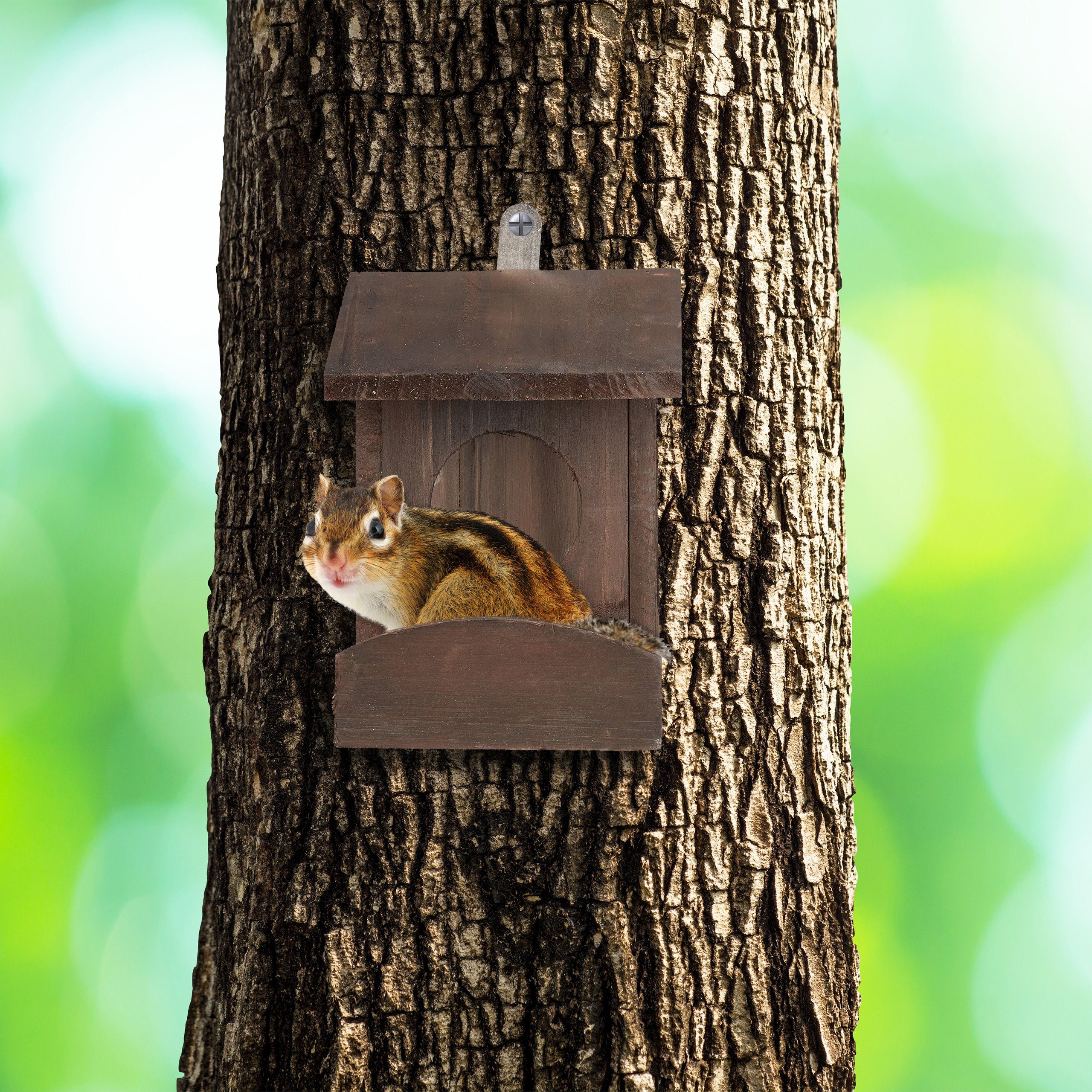 relaxdays Eichhörnchenkobel Eichhörnchen Futterhaus zum Hängen, geflammt