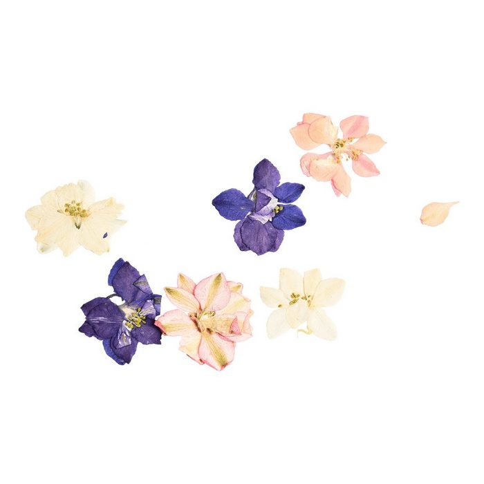 Depot Dekofigur Trockenblüten gepresst Frühlingsblumenmix (Packung 6 St. 6 gepresste Frühlingsblumen in verschiedenen Farben) aus Trockenblume 6 Stück