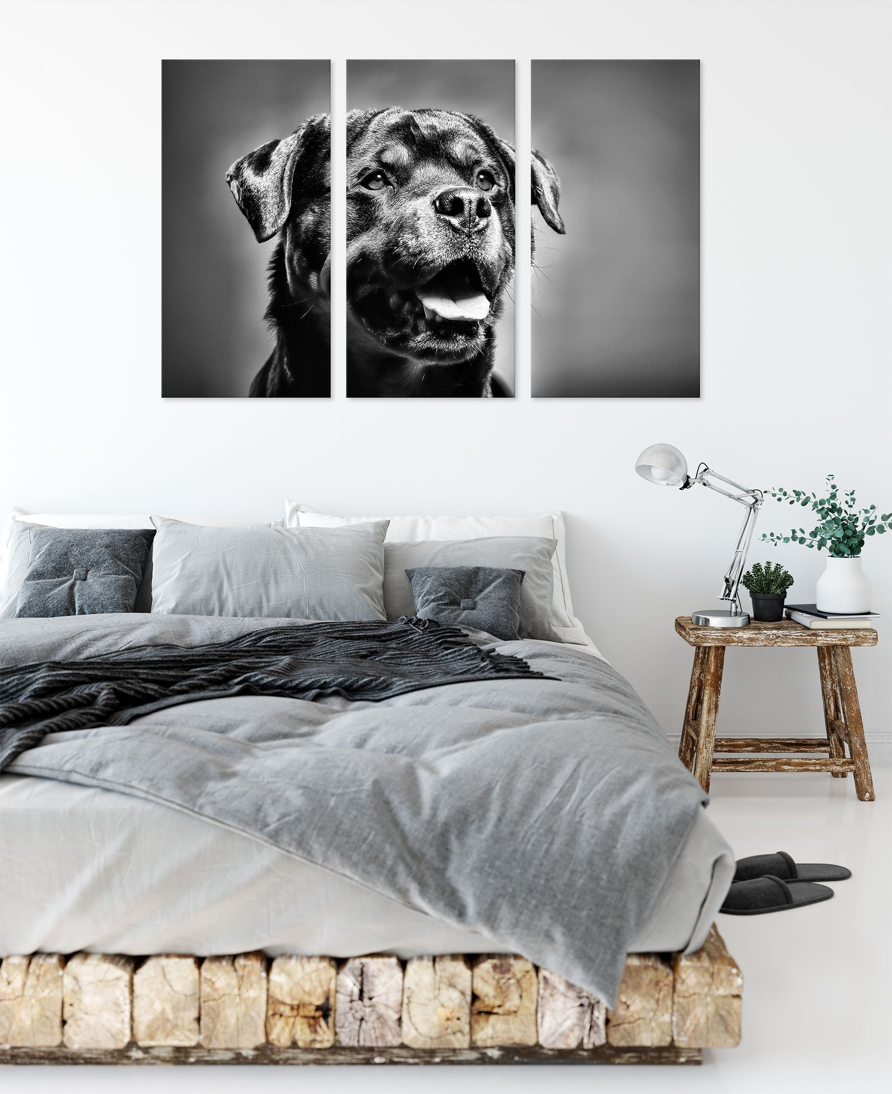 Zackenaufhänger Rottweiler, (120x80cm) 3Teiler bespannt, Leinwandbild Pixxprint Leinwandbild St), Rottweiler Treuer Treuer fertig (1 inkl.