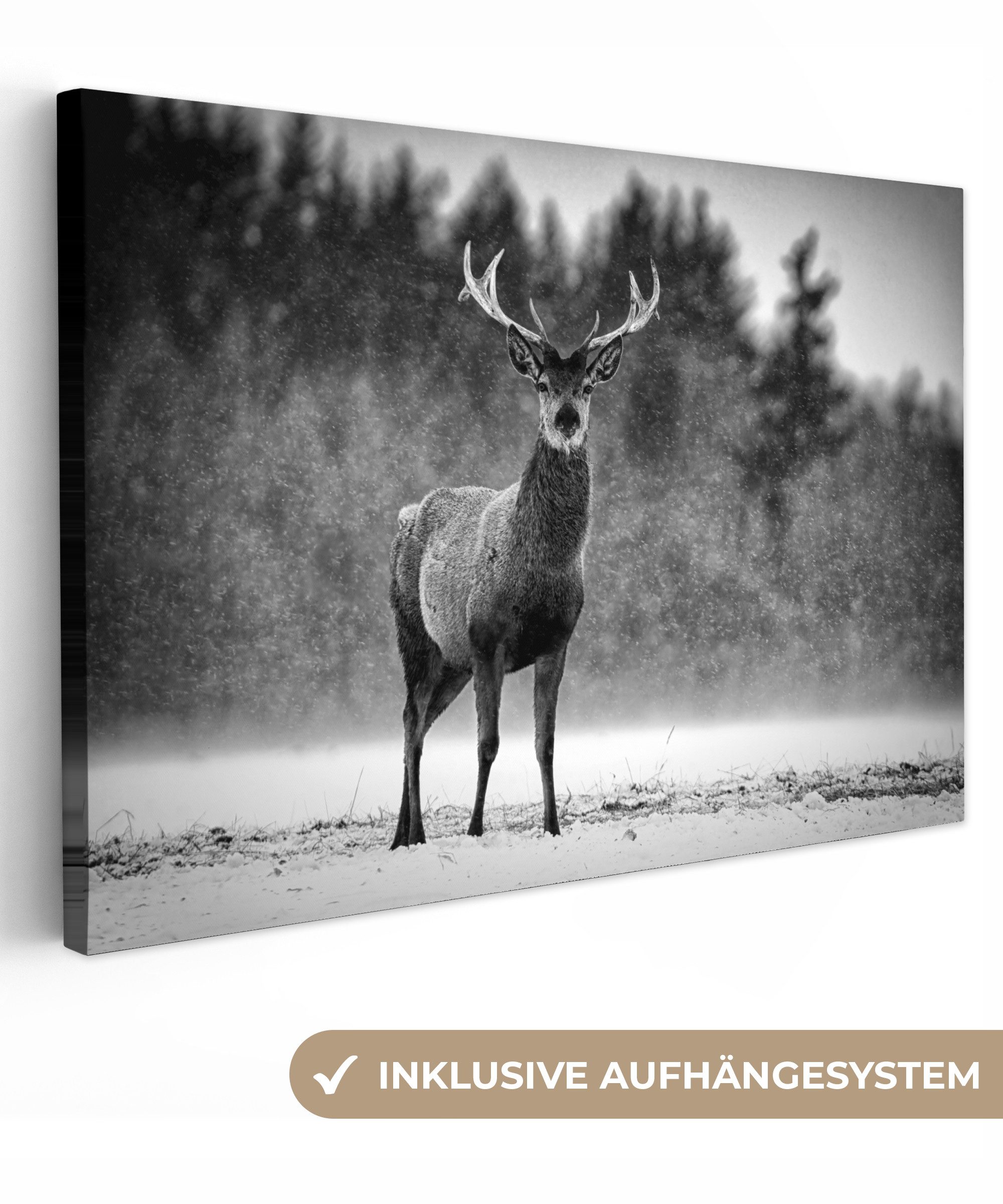 OneMillionCanvasses® Leinwandbild Tiere - Hirsche - Winter - Schwarz - Weiß günstig online kaufen