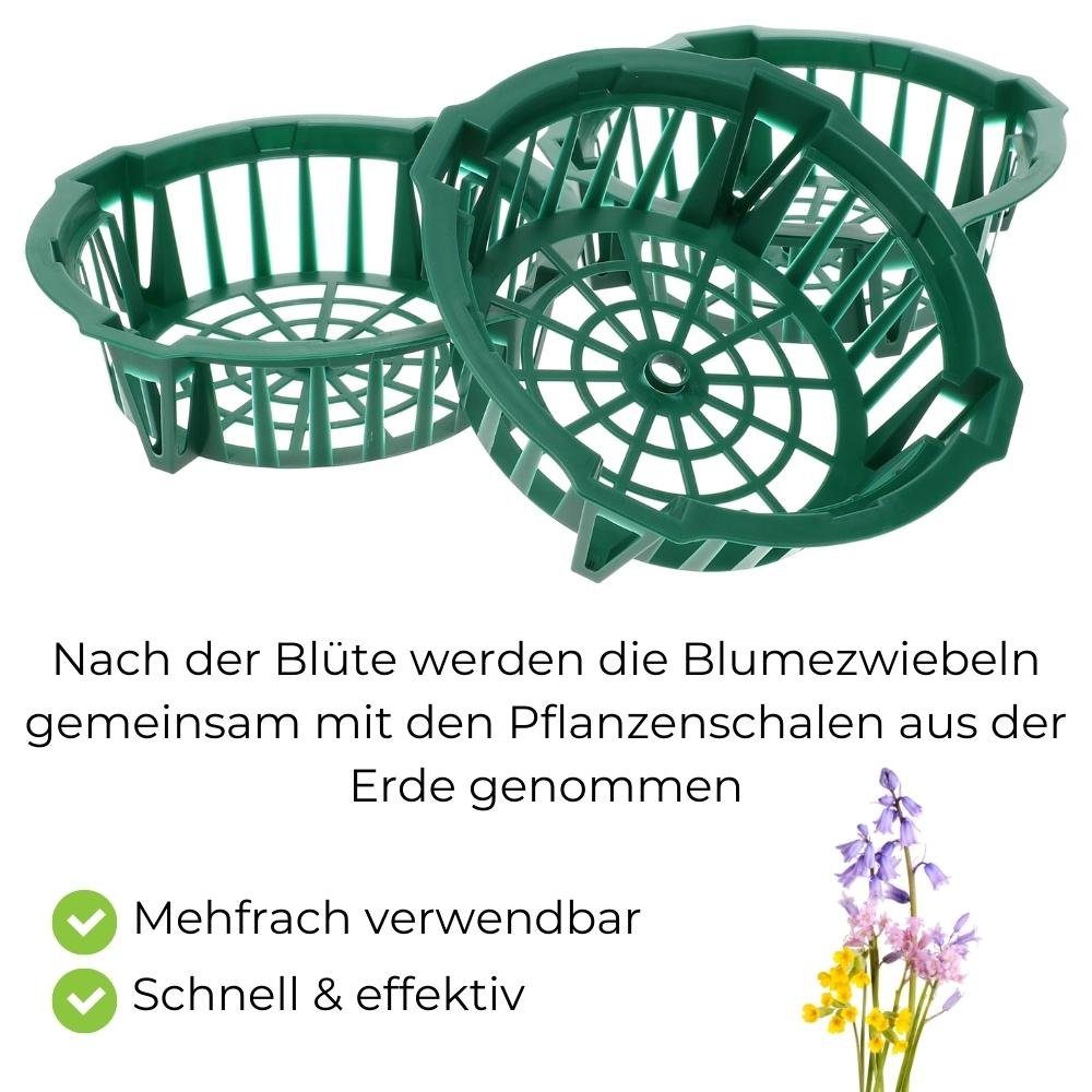Pflanzkorb GarPet Blumenzwiebel gegen Tulpen Pflanzschalen Pflanzschale Wühlmäuse