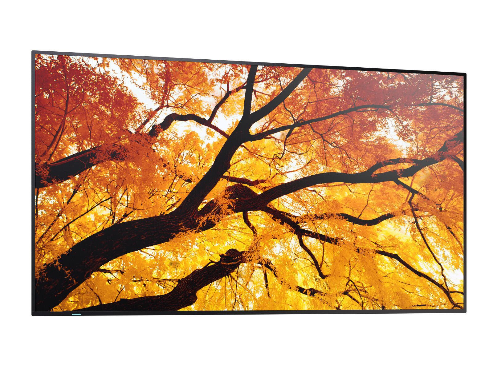 Sharp PN-M982 LED-Monitor (3840 x 2160, 8 ms Reaktionszeit, 60 Hz, IPS Panel)