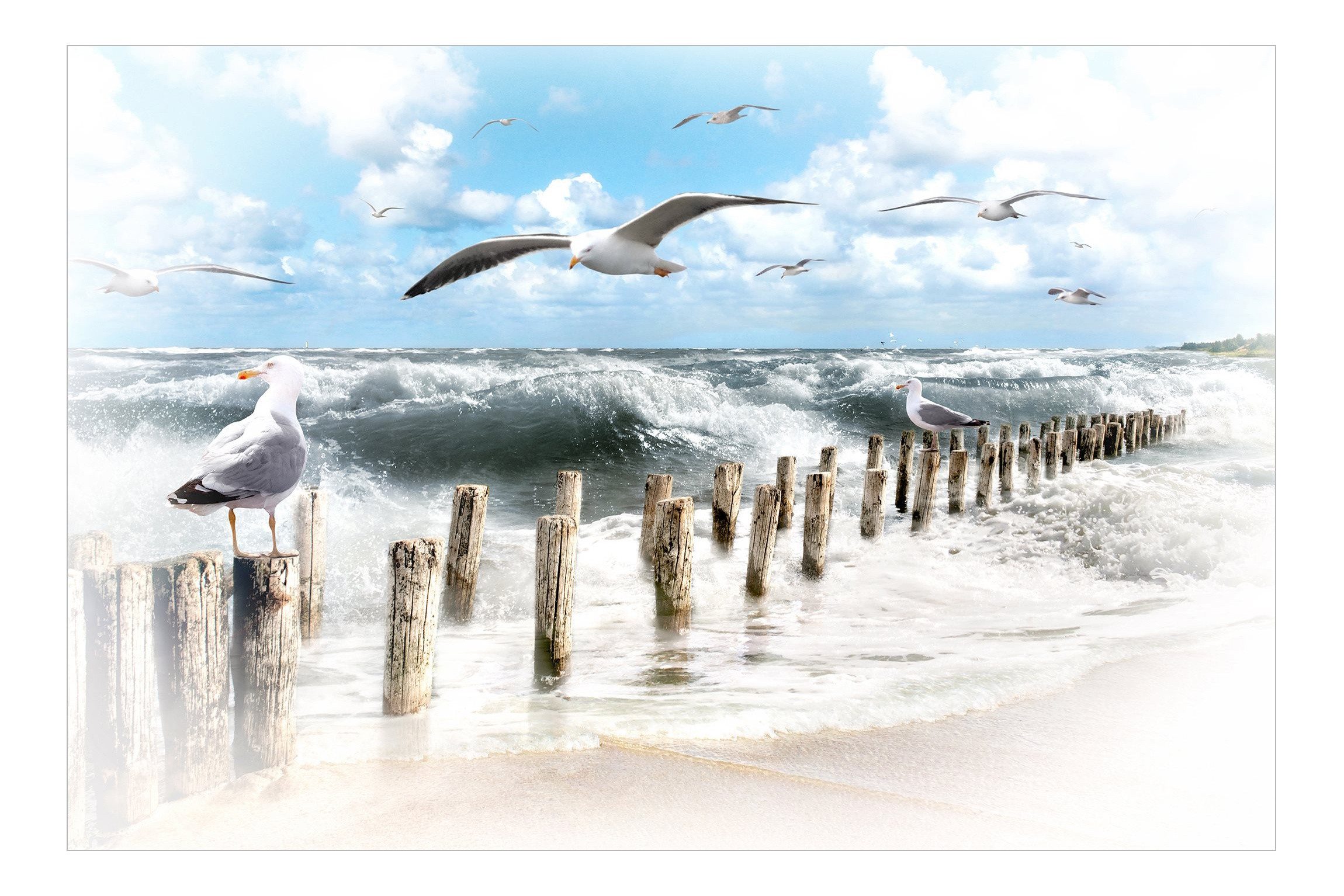 Bilderdepot24 Fototapete Strand & Meer Absolut Sylt Natur Landschaft Maritim Meerblick, Glatt, Matt, (Vliestapete inkl. Kleister oder selbstklebend), Wohnzimmer Schlafzimmer Küche Flur Motivtapete Vliestapete Wandtapete