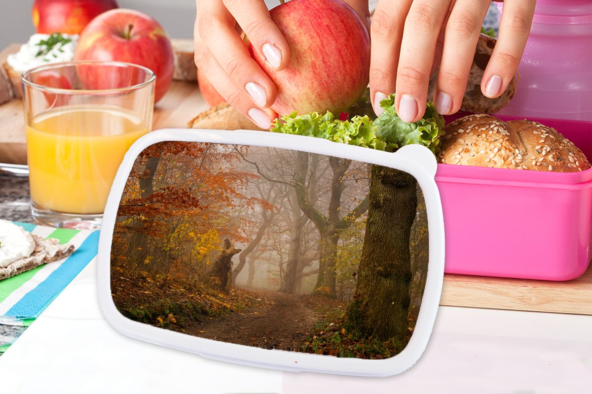 Lunchbox Wald Herbst Kunststoff für Waldweg rosa - Laub Mädchen, (2-tlg), Brotbox Bäume, Brotdose MuchoWow - - Kunststoff, Kinder, - Erwachsene, Snackbox,