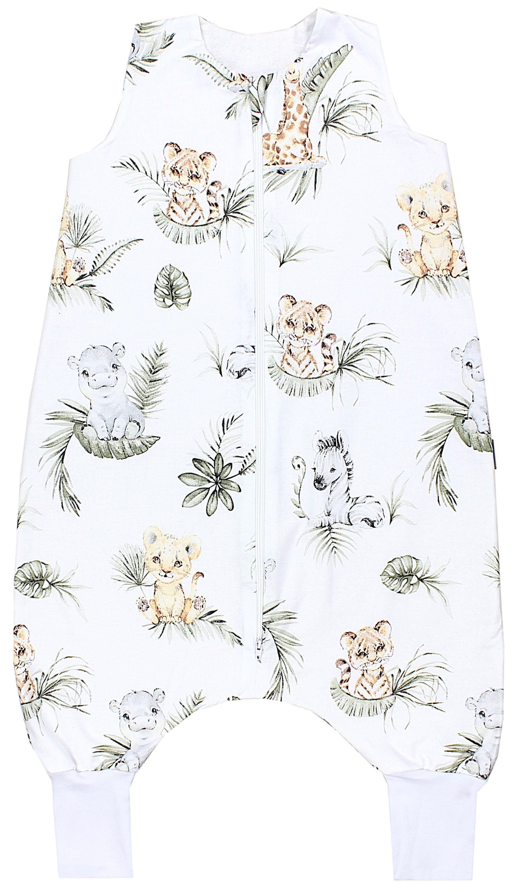 Safari / Löwe / Braun / Blätter / Grün