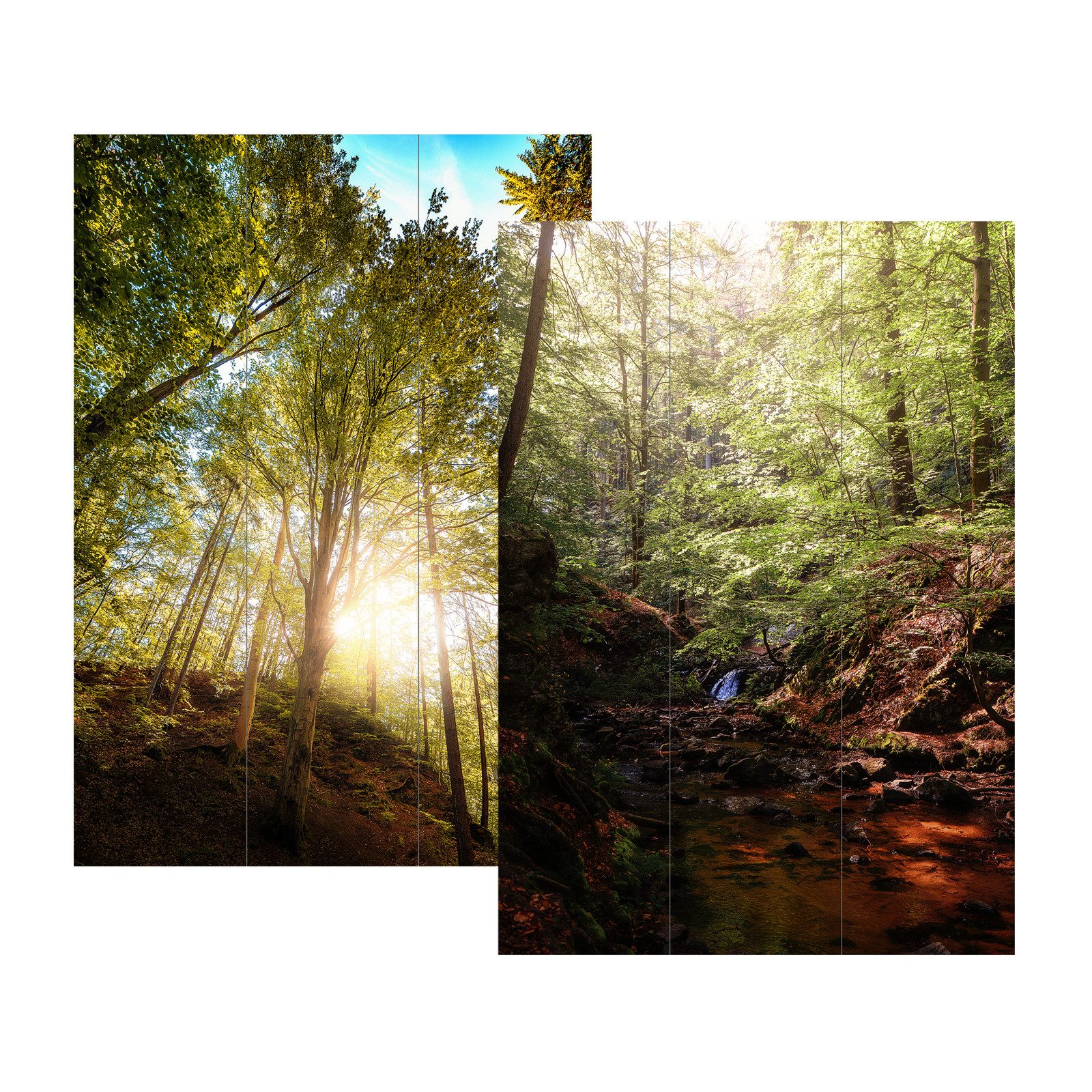 HTI-Living Paravent Paravent Wald (Stück, 1 St., 1 Paravent), Raumteiler Si günstig online kaufen