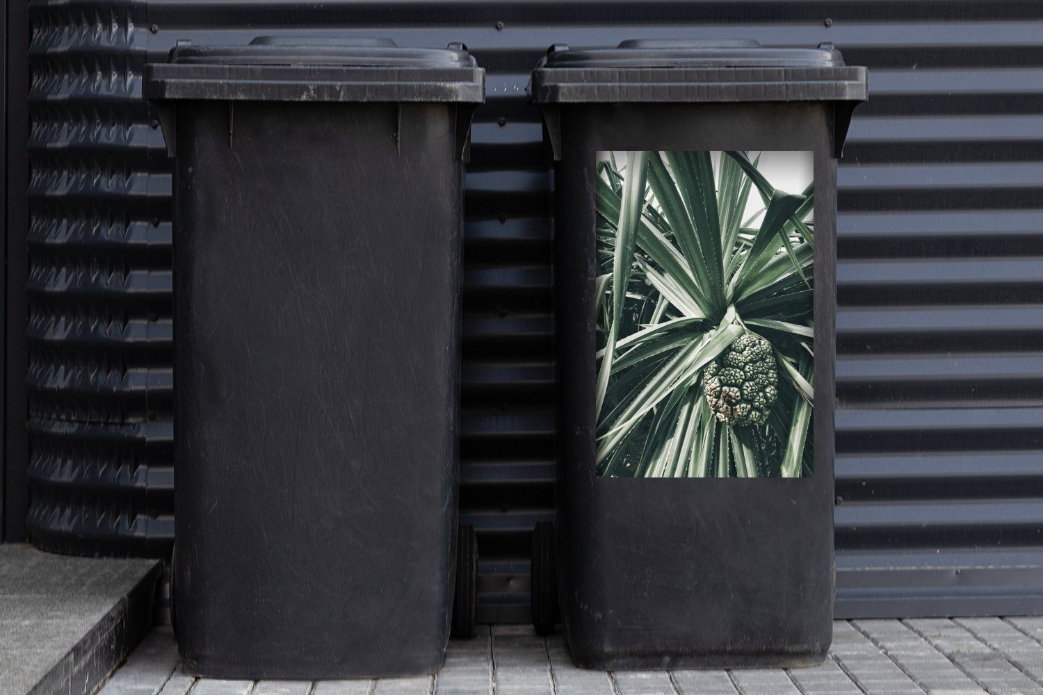 MuchoWow Kaktus St), Container, Sticker, Mülltonne, Wandsticker Grün Abfalbehälter - (1 Mülleimer-aufkleber, Tropisch -