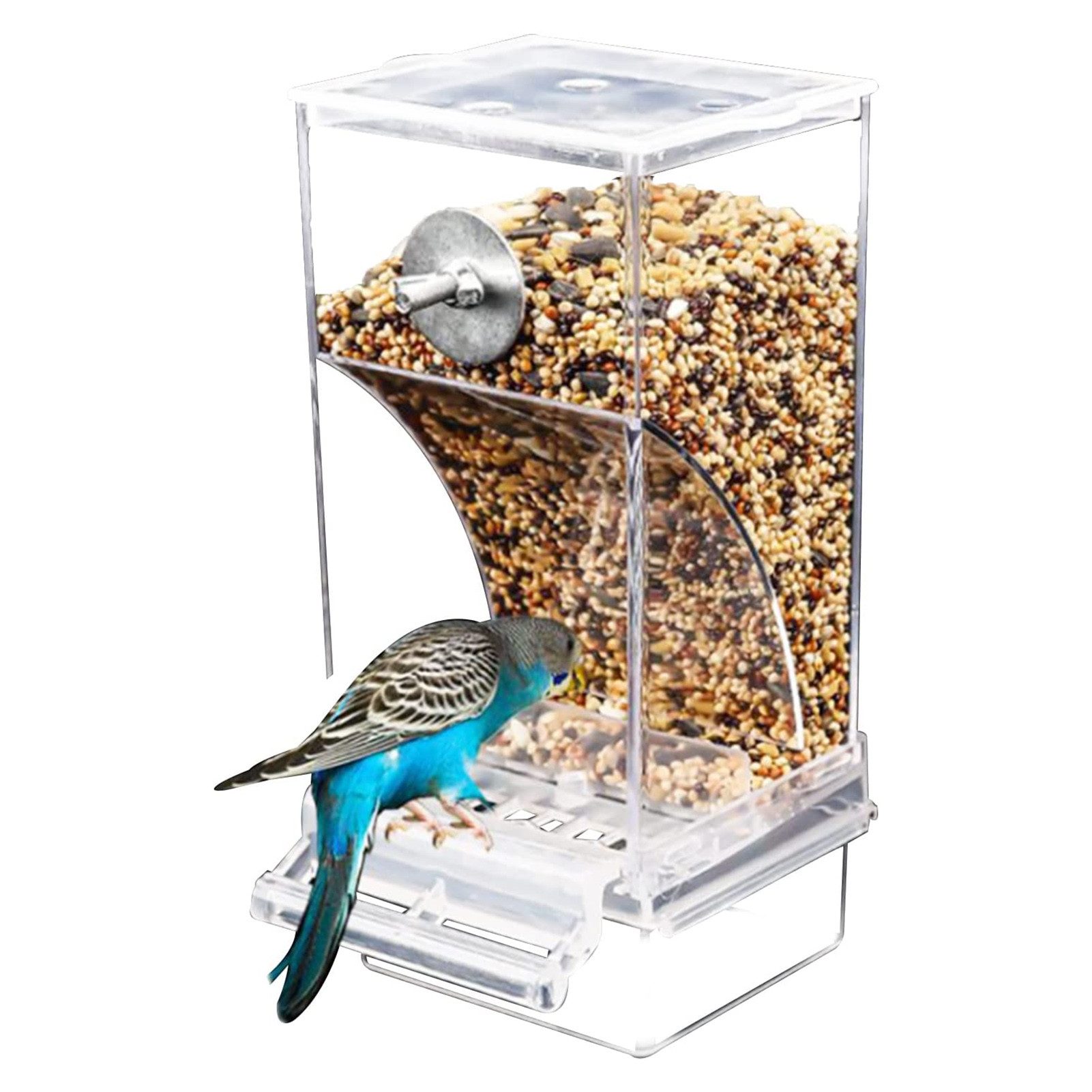 Vellora Futterstation Vogelfutterbox, Spritzschutz, automatischer Vogelfutt günstig online kaufen