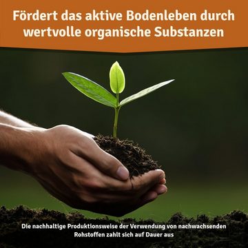Veddelholzer Garten Rasendünger Bio Herbstrasendünger Langzeit-Wirkung, Kalium, frostbeständigen Rasen