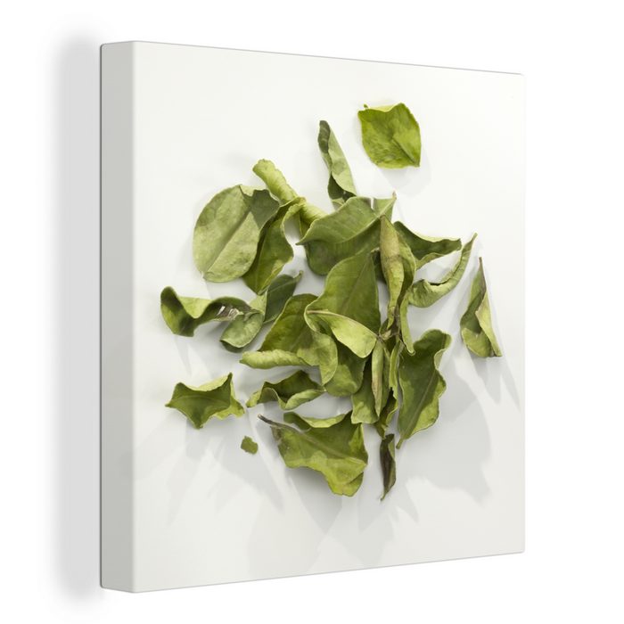 OneMillionCanvasses® Leinwandbild Getrocknete Djeroek-Poeroet-Blätter auf einem Haufen vor einem weißen (1 St) Leinwand Bilder für Wohnzimmer Schlafzimmer