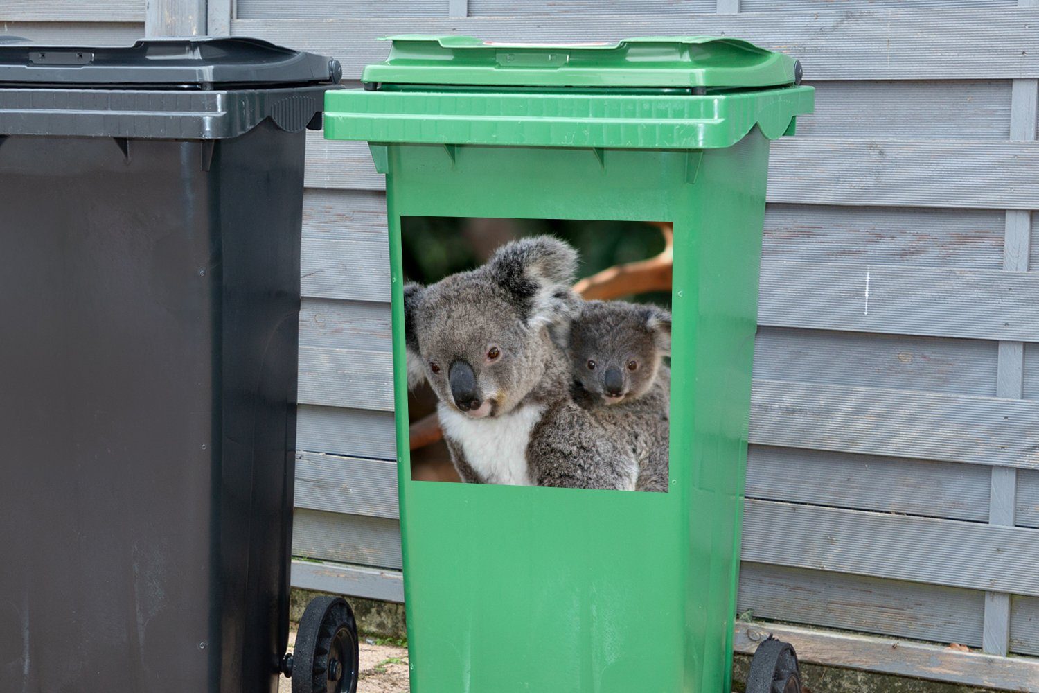 Koalas St), Sticker, - Mülleimer-aufkleber, - - - Jungen Vater Container, Wandsticker Abfalbehälter Sohn MuchoWow Mädchen Mülltonne, (1