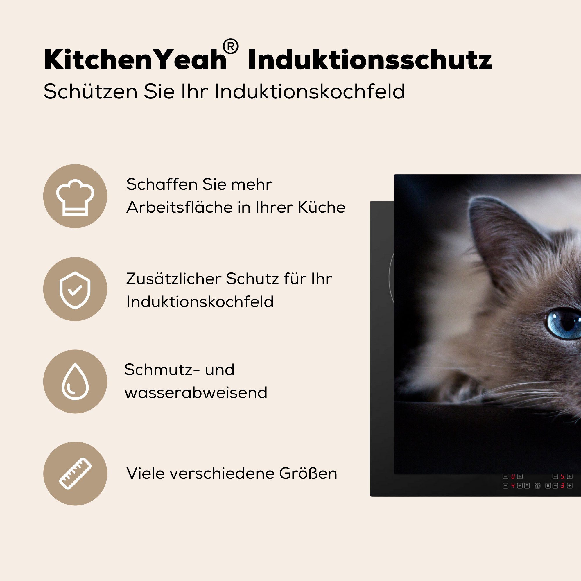 MuchoWow Herdblende-/Abdeckplatte Katze - Grau für Induktionskochfeld die - cm, Vinyl, Nahaufnahme, Ceranfeldabdeckung tlg), 81x52 Schutz küche, (1