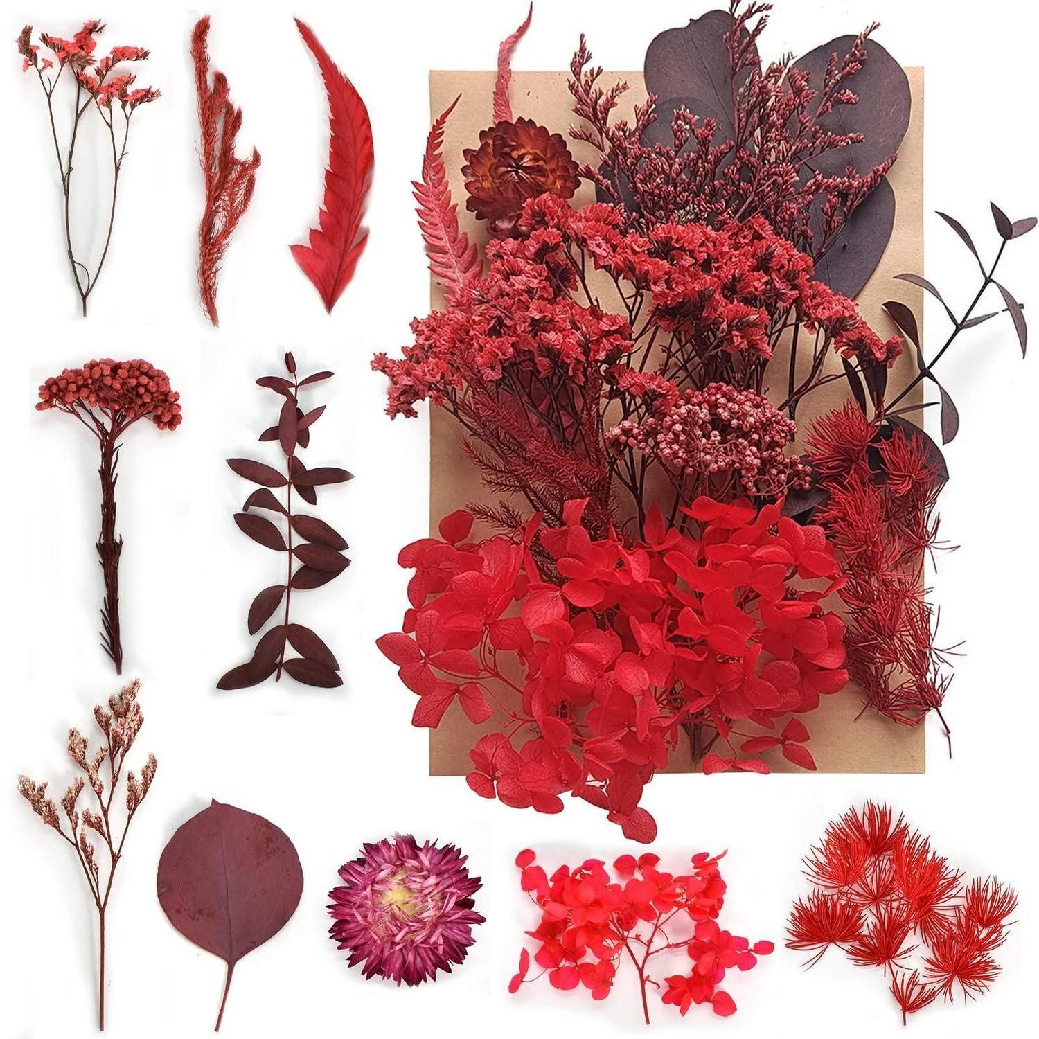 Trockenblume Trockenblumen Set DIY Rot Gemischt, LuxusKollektion, Höhe 1 cm