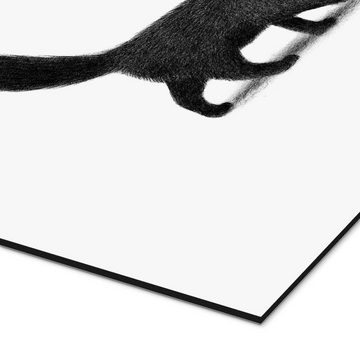 Posterlounge Alu-Dibond-Druck Terry Fan, Kleine schwarze Katze, Illustration