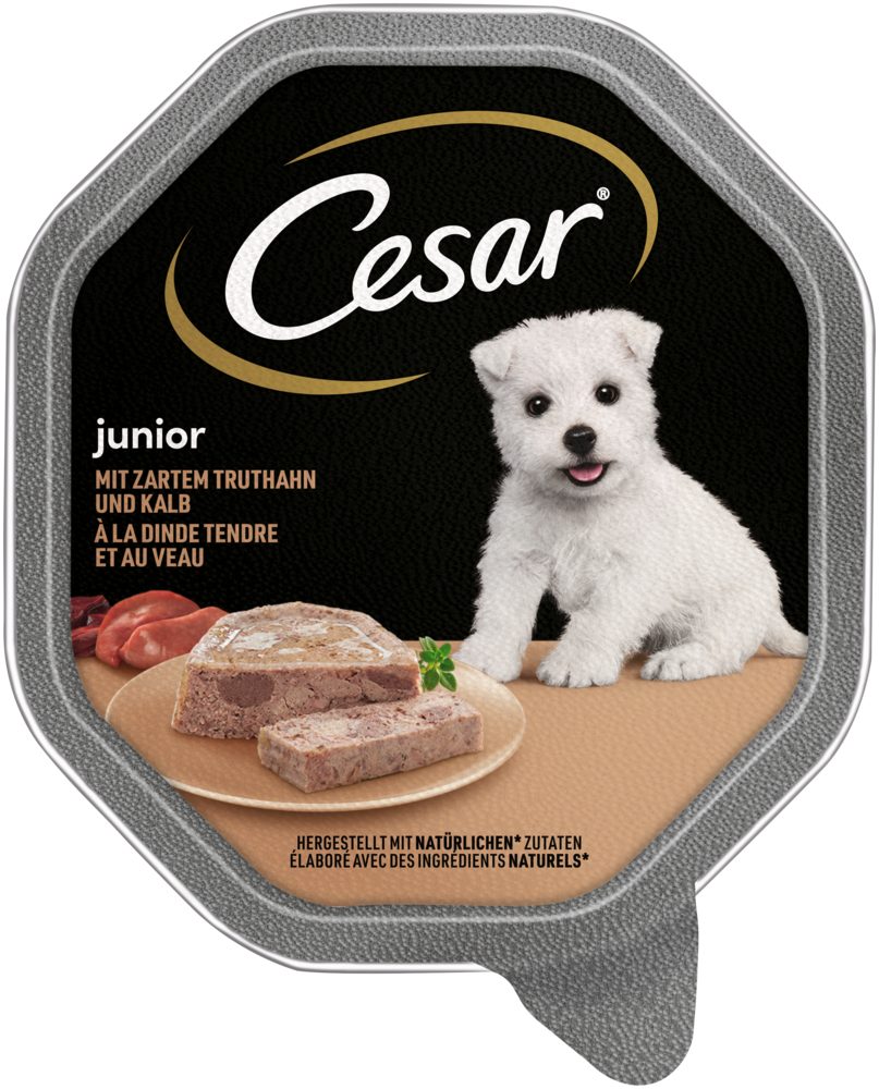 Cesar CESAR® Junior mit Truthahn und Kalb 150g, Nassfutter für: Hund
