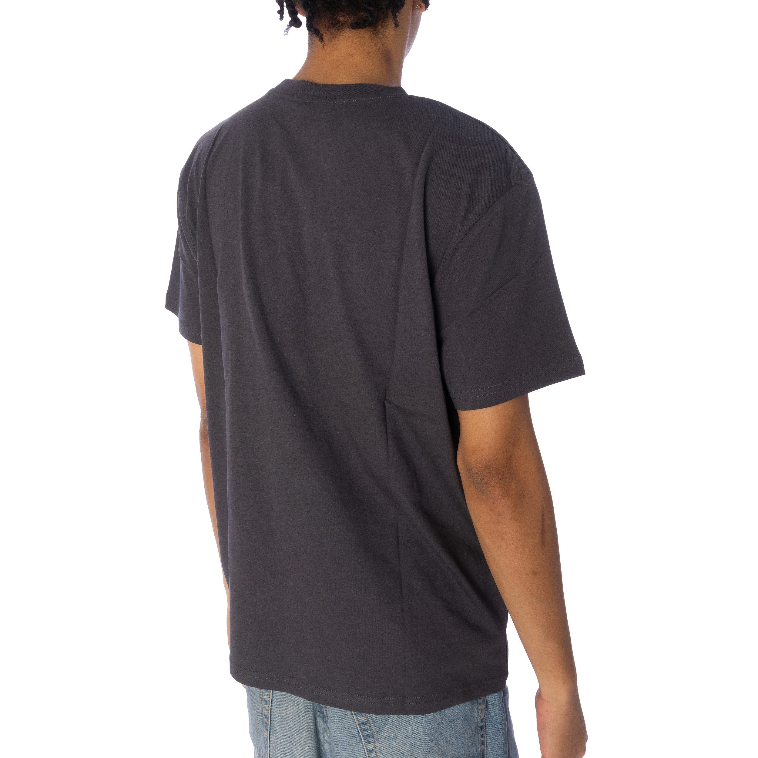 DEDICATED T-Shirt T-Shirt Dedicated Stockholm Nature günstig online kaufen