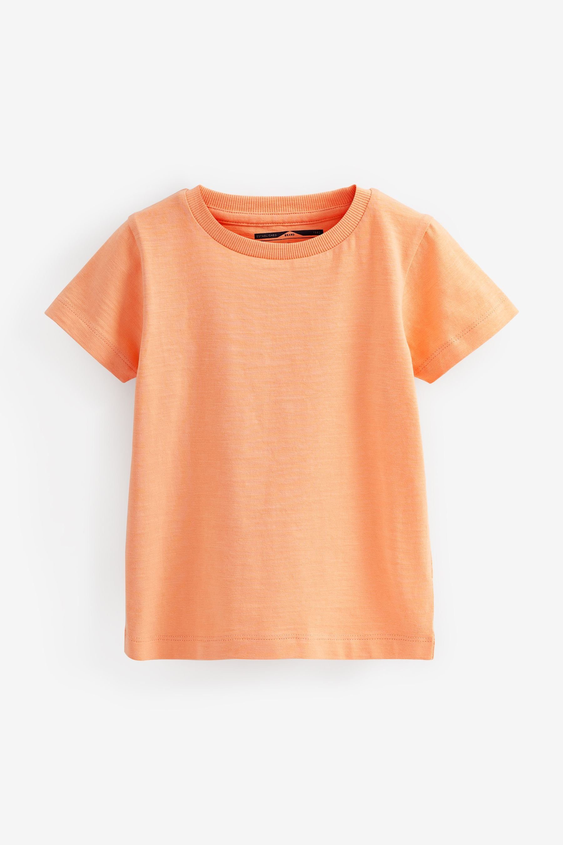 T-Shirt T-Shirts Kurzärmelige Figurenmotiv, (3-tlg) 3er-Pack Next mit Blue/Orange Dinosaur