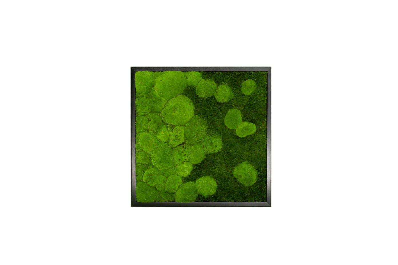 Moos-Design Bilderrahmen Moos Bild River Design günstig online kaufen