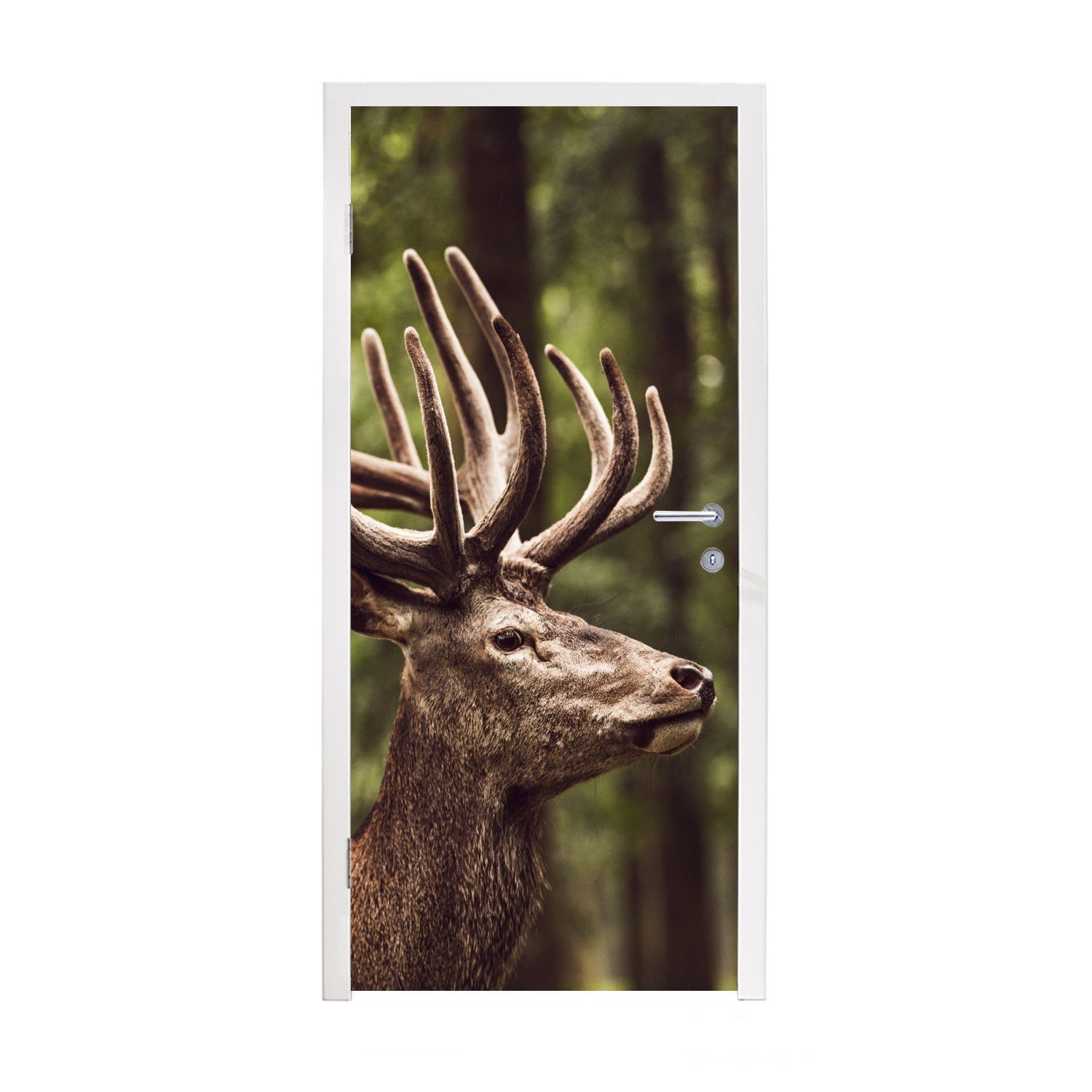 MuchoWow Türtapete Hirsch - Natur - Geweih - Wald - Tiere, Matt, bedruckt, (1 St), Fototapete für Tür, Türaufkleber, 75x205 cm