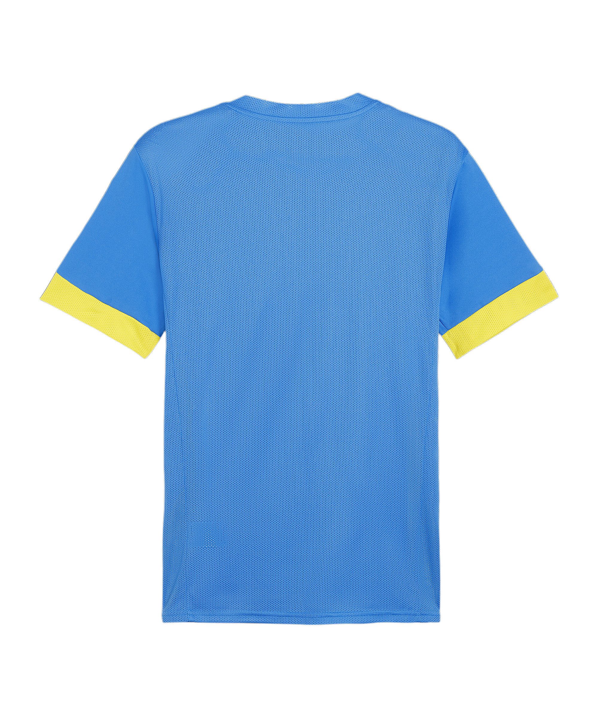PUMA Fußballtrikot PUMA teamGOAL Matchday Trikot günstig online kaufen