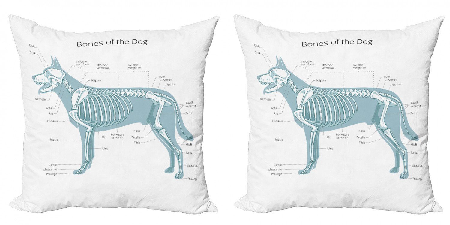 Digitaldruck, Abakuhaus Modern (2 Stück), Doppelseitiger Tabelle Hundes Skelett des Accent Knochen Kissenbezüge