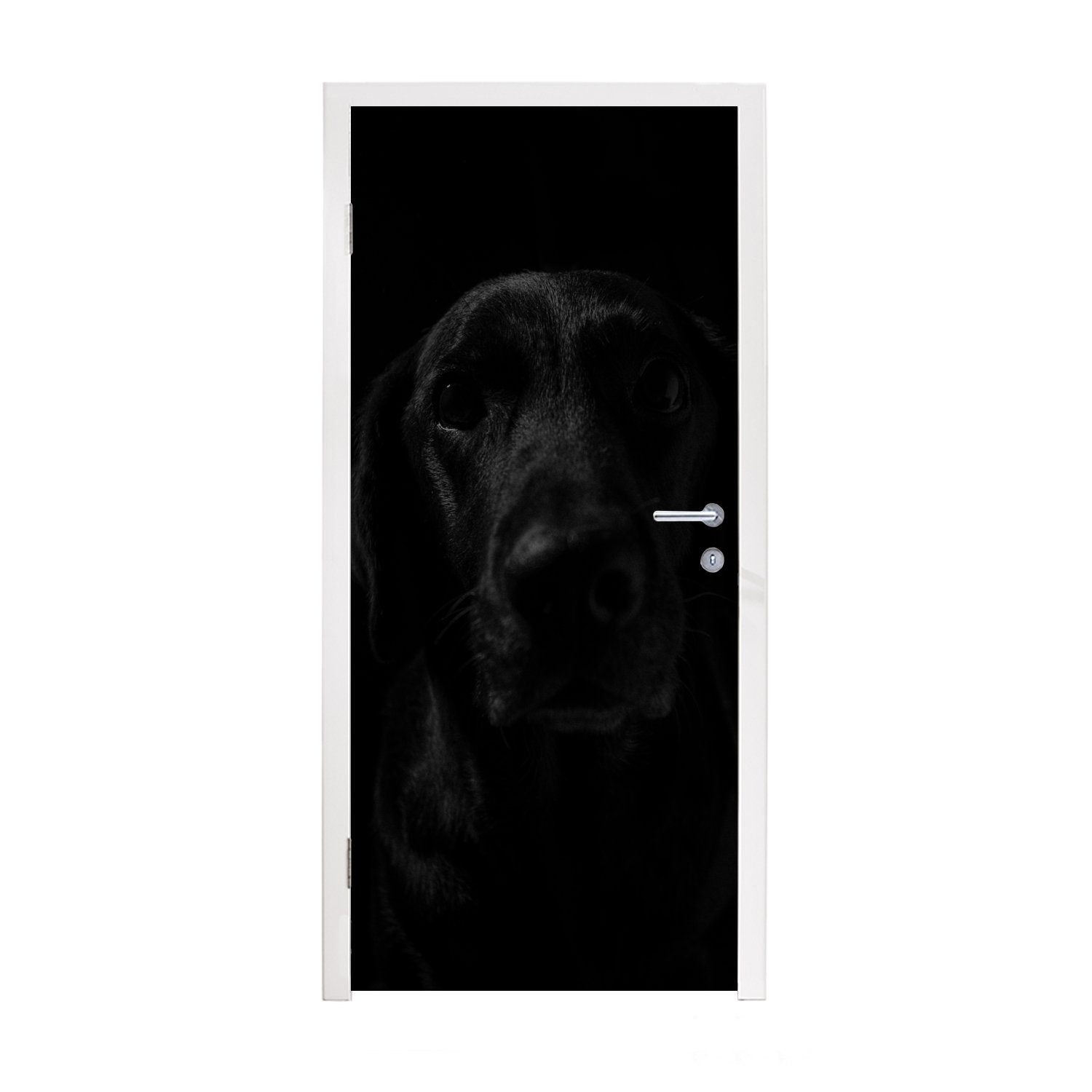 MuchoWow Türtapete Hund - Haustier - Schwarz, Matt, bedruckt, (1 St), Fototapete für Tür, Türaufkleber, 75x205 cm