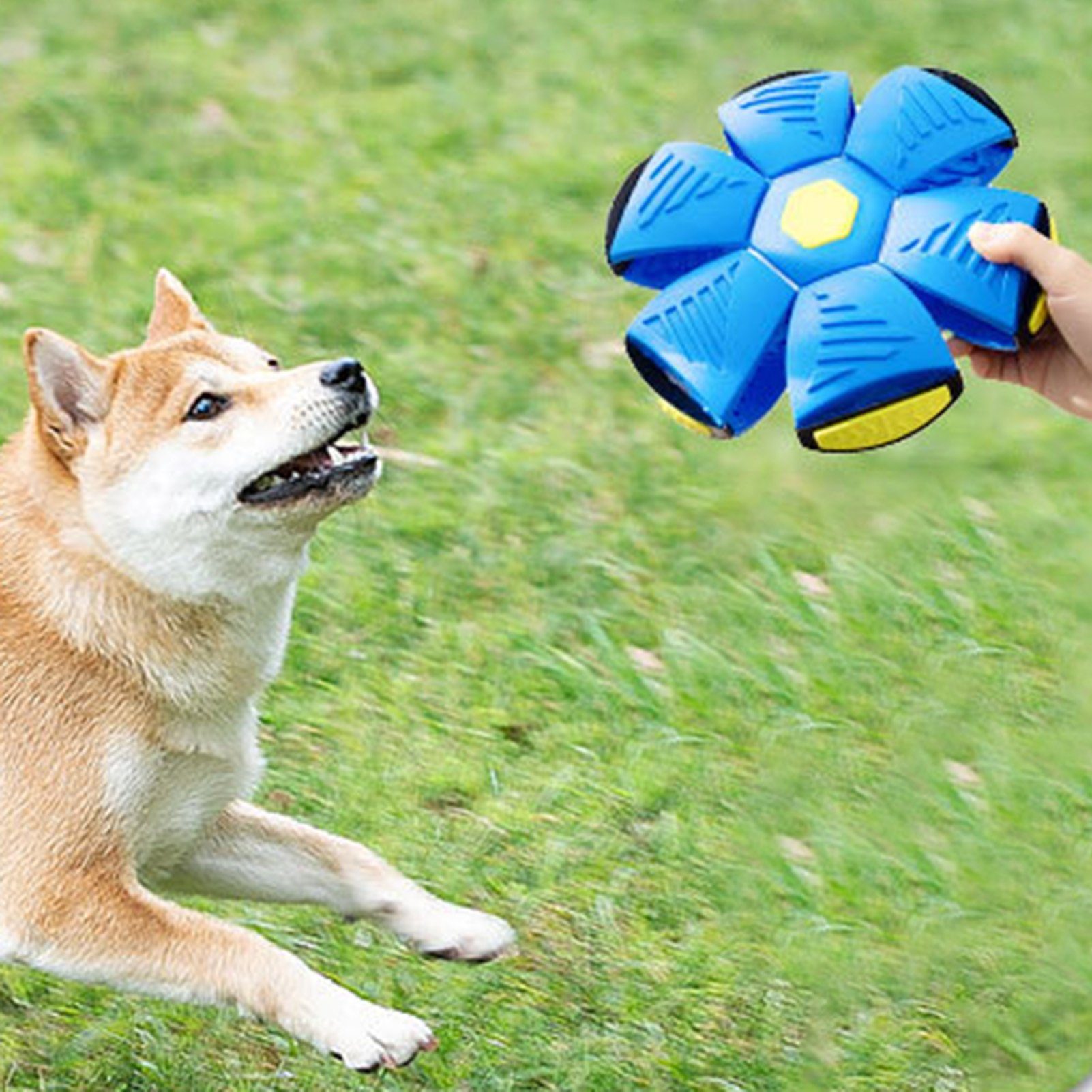 Blusmart 3 Tierball Pet, Für Spiralball Lichter Interaktives, Tierball Hüpfendes Ballspielzeug Hunde, red Stomp