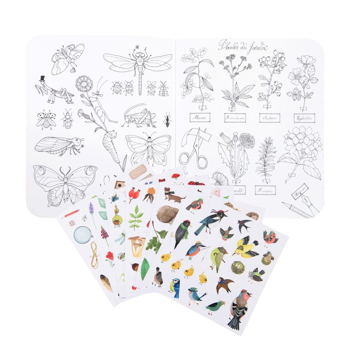 Moulin Roty Malvorlage Mal- und Stickerbuch Der Botanist & 148 Sticker für kreative Kinder (Set), Mal- und Stickerbuch
