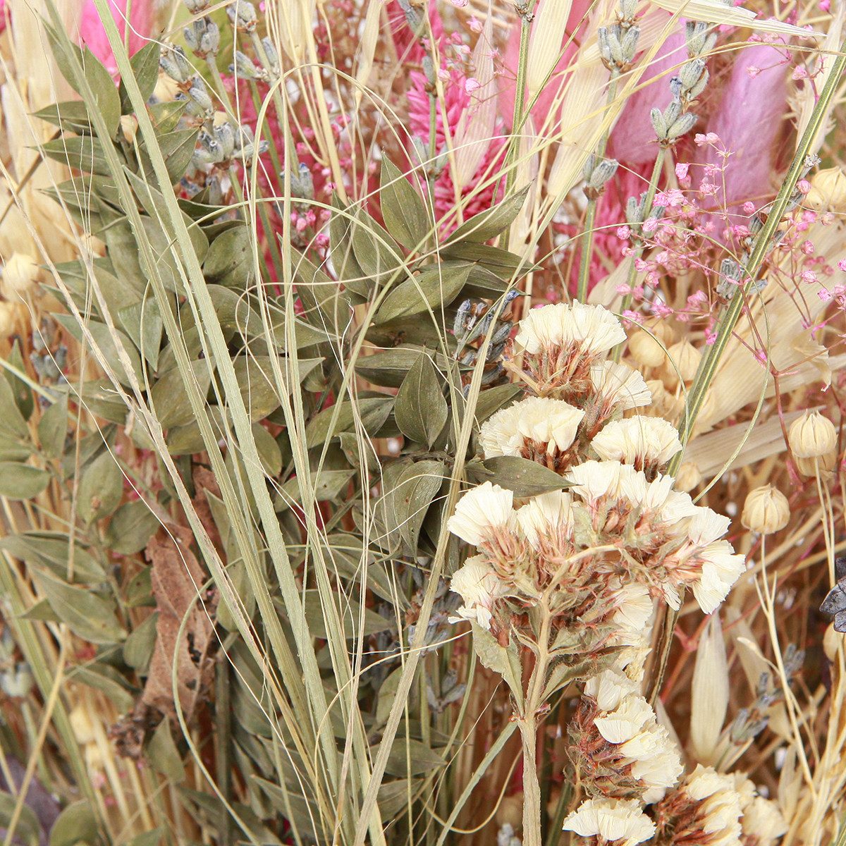 Trockenblume Trockenblumenstrauß Landhausstil Eukalyptus Deko Creme günstig online kaufen