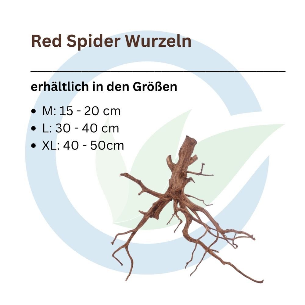 Aquaone Aquarium Red Spider Wurzel L 30-40 cm