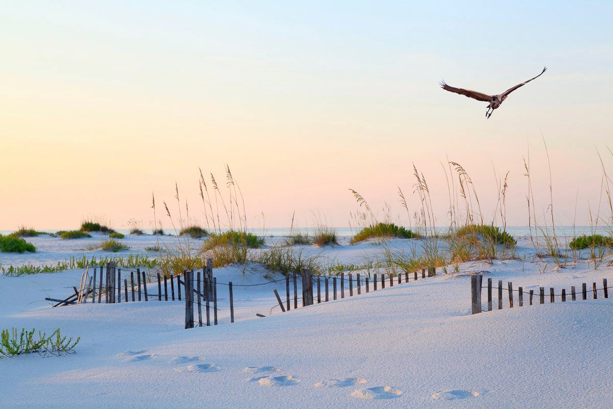 Fototapete Papermoon Beach Florida Weißer Sand