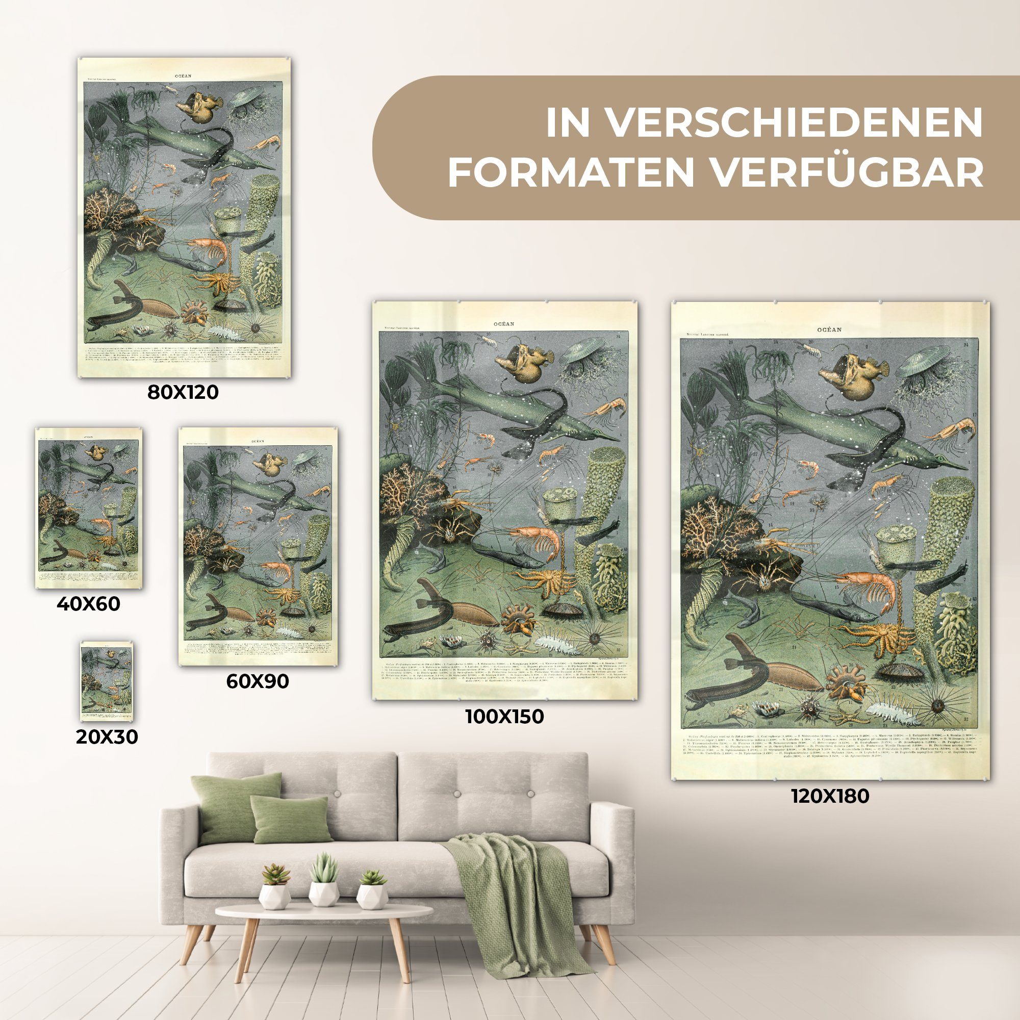 Foto - Wanddekoration Natur, Korallen - St), - auf (1 Meerestiere - MuchoWow auf Glasbilder Wandbild - Glas Bilder Glas Acrylglasbild