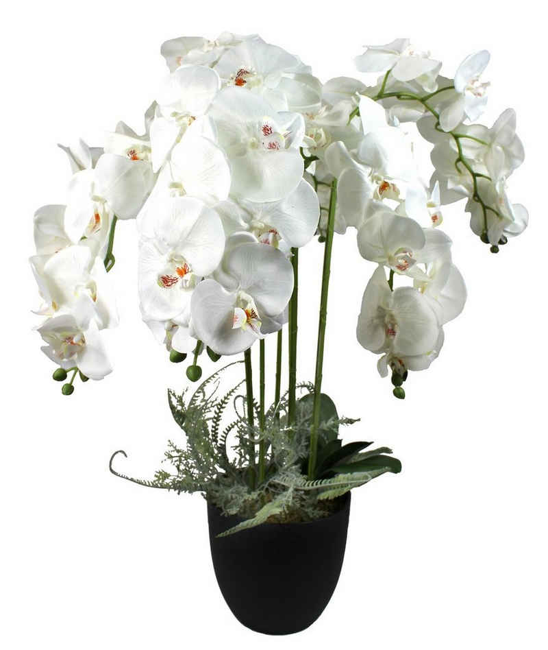 Kunstorchidee »Kunstpflanze KP8100« Orchidee Weiß, Arnusa, Höhe 110 cm, XXL fertig im Topf
