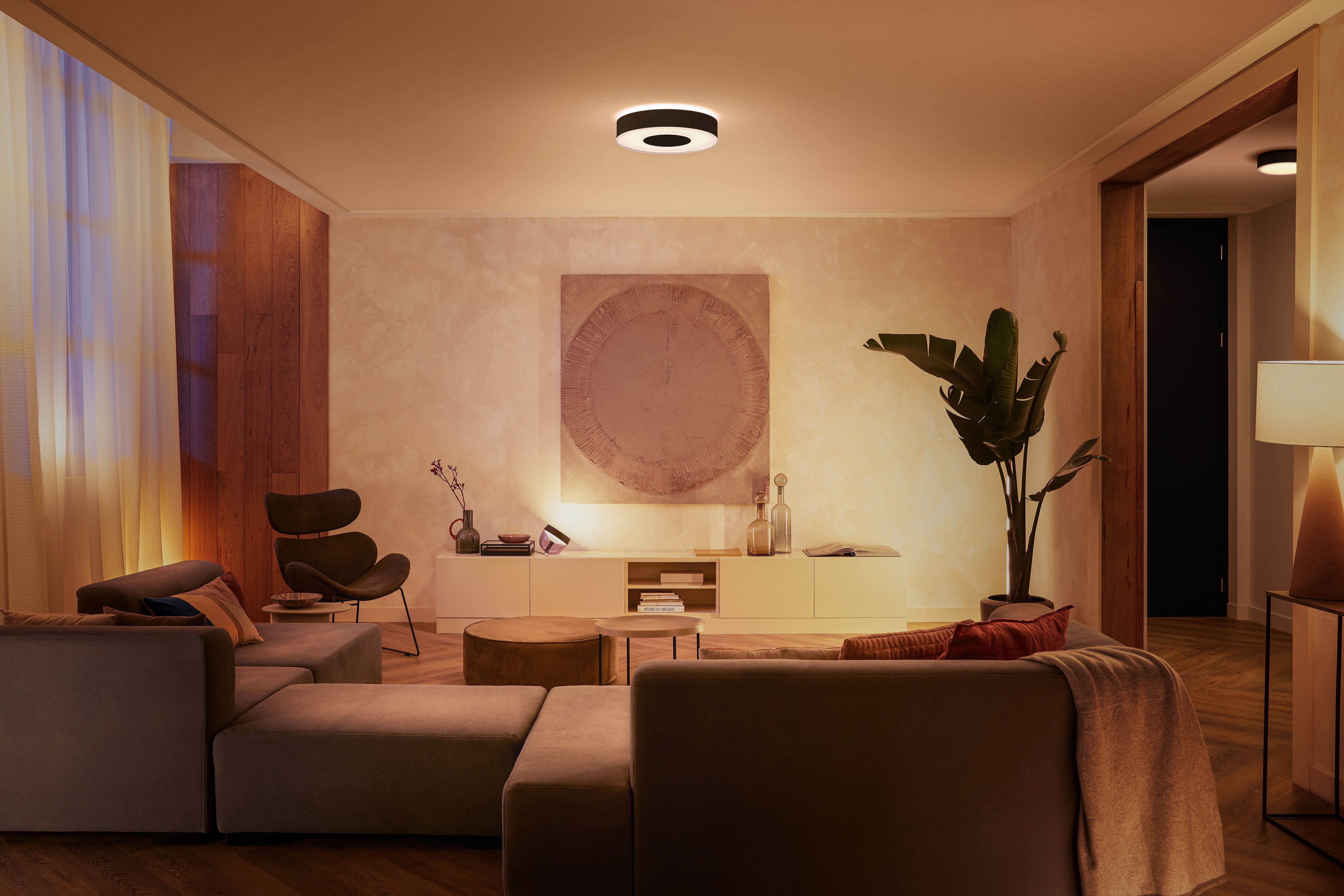 Philips Hue Smarte LED-Leuchte White & Color Ambiance Infuse Deckenleuchte M schwarz, Abschaltautomatik, Bluetooth, CCT - über Fernbedienung, Dimmfunktion, Farbsteuerung, Farbwechsel, Leuchtdauer einstellbar, Memoryfunktion, Nachtlichtfunktion, RGB, Smart Home, Timerfunktion, dimmbar über Fernbedienung, erweiterbar, mehrere Helligkeitsstufen, LED wechselbar, RGB, Bequeme Lichtsteuerung