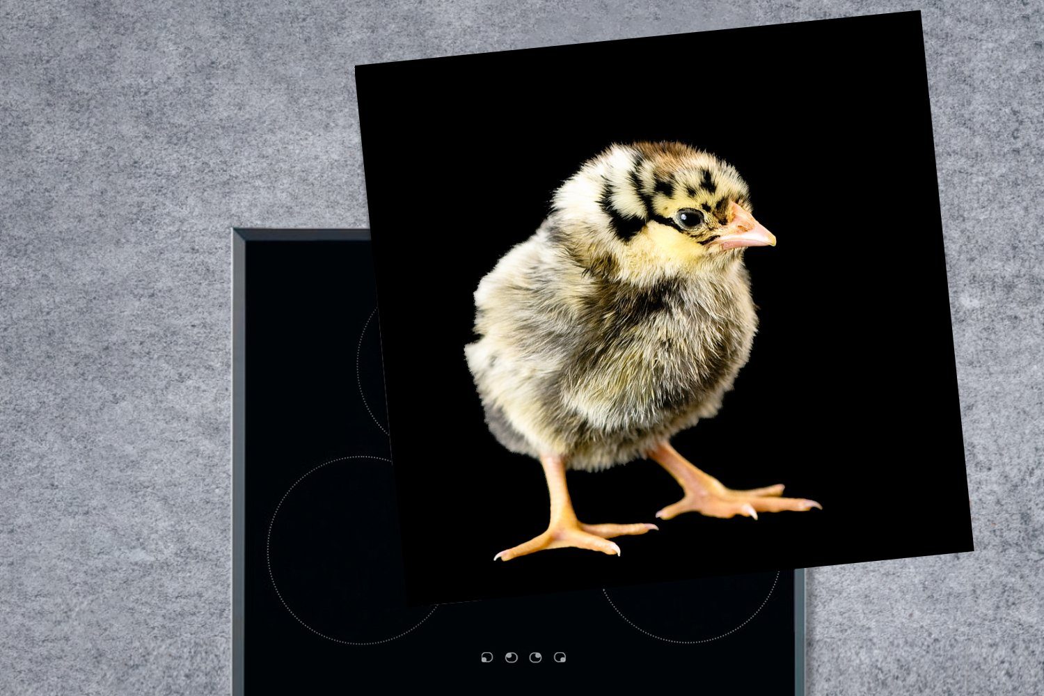 schwarzem Kleines Hintergrund, Ceranfeldabdeckung, Arbeitsplatte MuchoWow tlg), vor küche (1 für cm, Vinyl, 78x78 Küken Herdblende-/Abdeckplatte