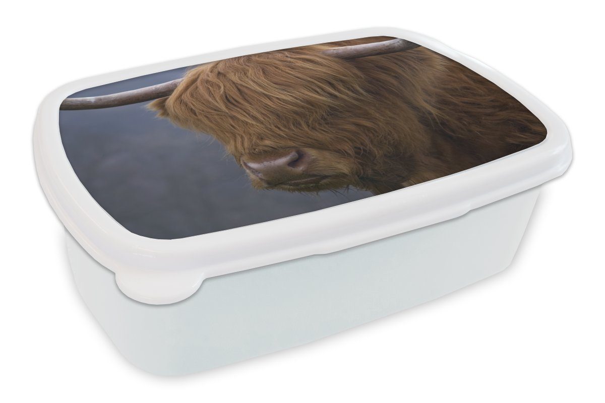 MuchoWow Lunchbox Schottischer Highlander-Bulle - Kuhkopf - Nahaufnahme, Kunststoff, (2-tlg), Brotbox für Kinder und Erwachsene, Brotdose, für Jungs und Mädchen weiß