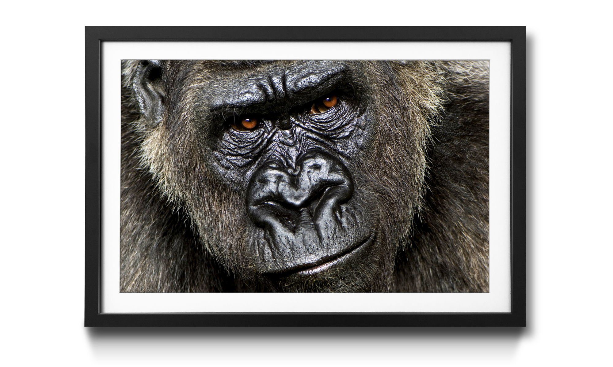 WandbilderXXL Bild mit Rahmen Silverback, Größen Wandbild, 4 in Gorilla, erhältlich