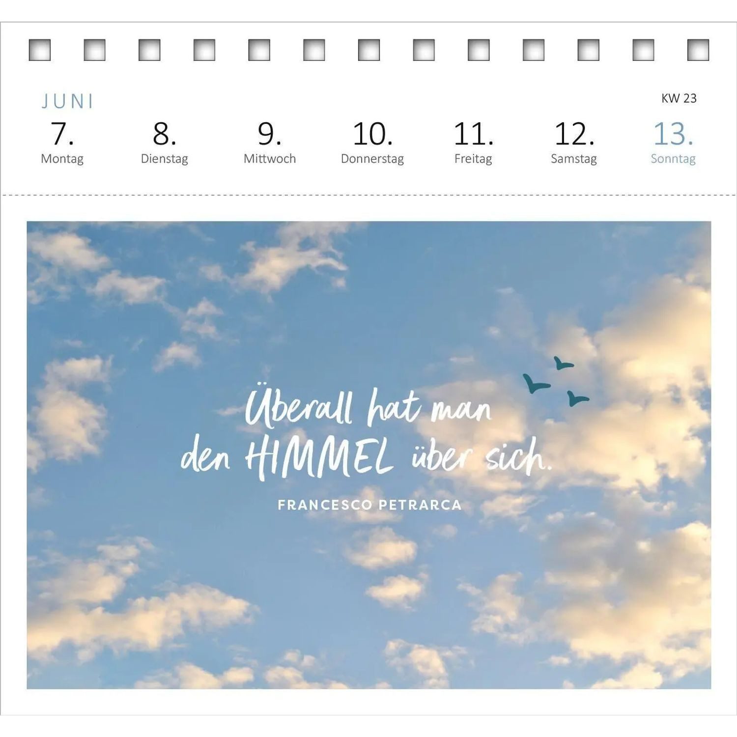 Ars Edition Abreißkalender Postkartenkalender Lebensweisheiten 2027