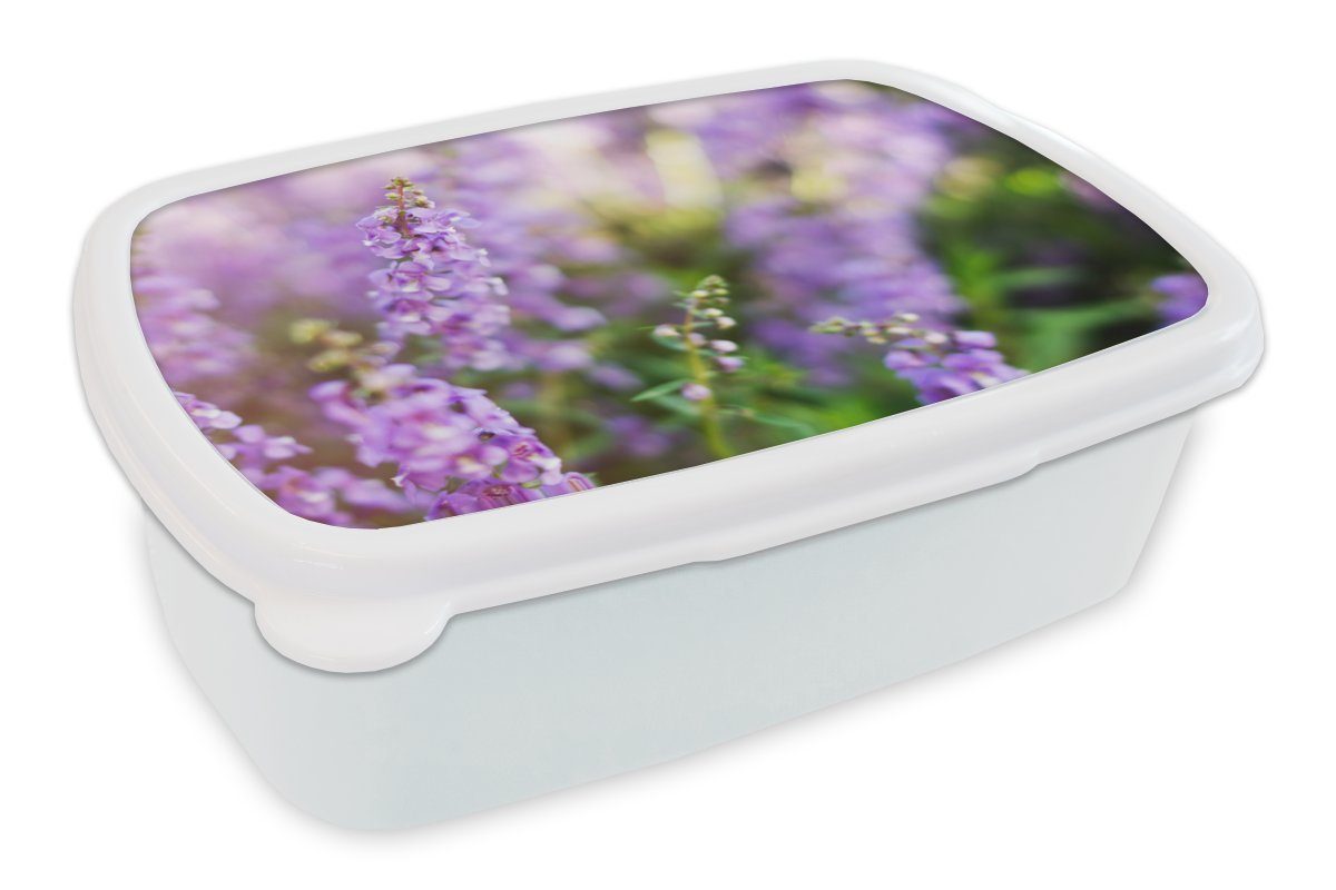 MuchoWow Lunchbox Nahaufnahme von Jungs (2-tlg), für Brotbox Mädchen in Kunststoff, Feld, und Kinder Brotdose, einem Erwachsene, für ganzem und Lavendel weiß