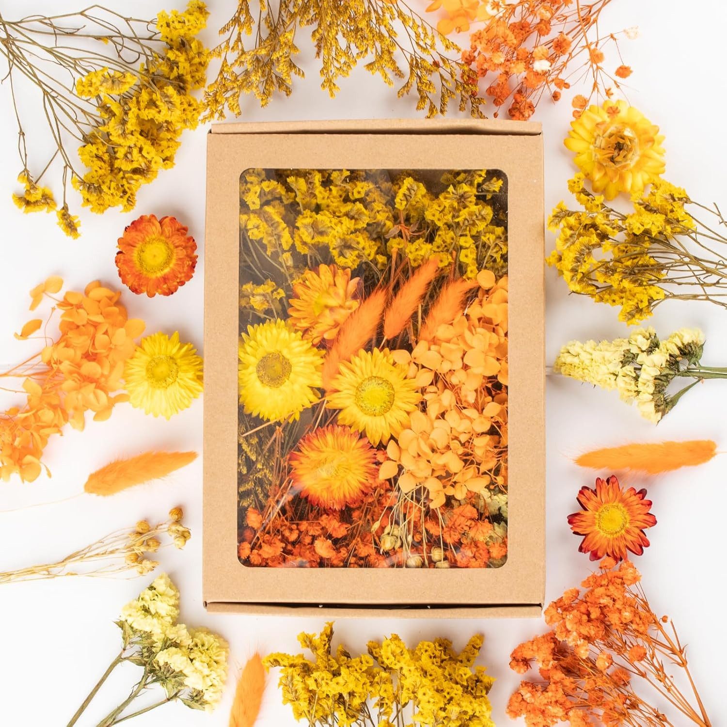 Trockenblume Klein Trockenblumen Deko Trockenblumen mit günstig online kaufen