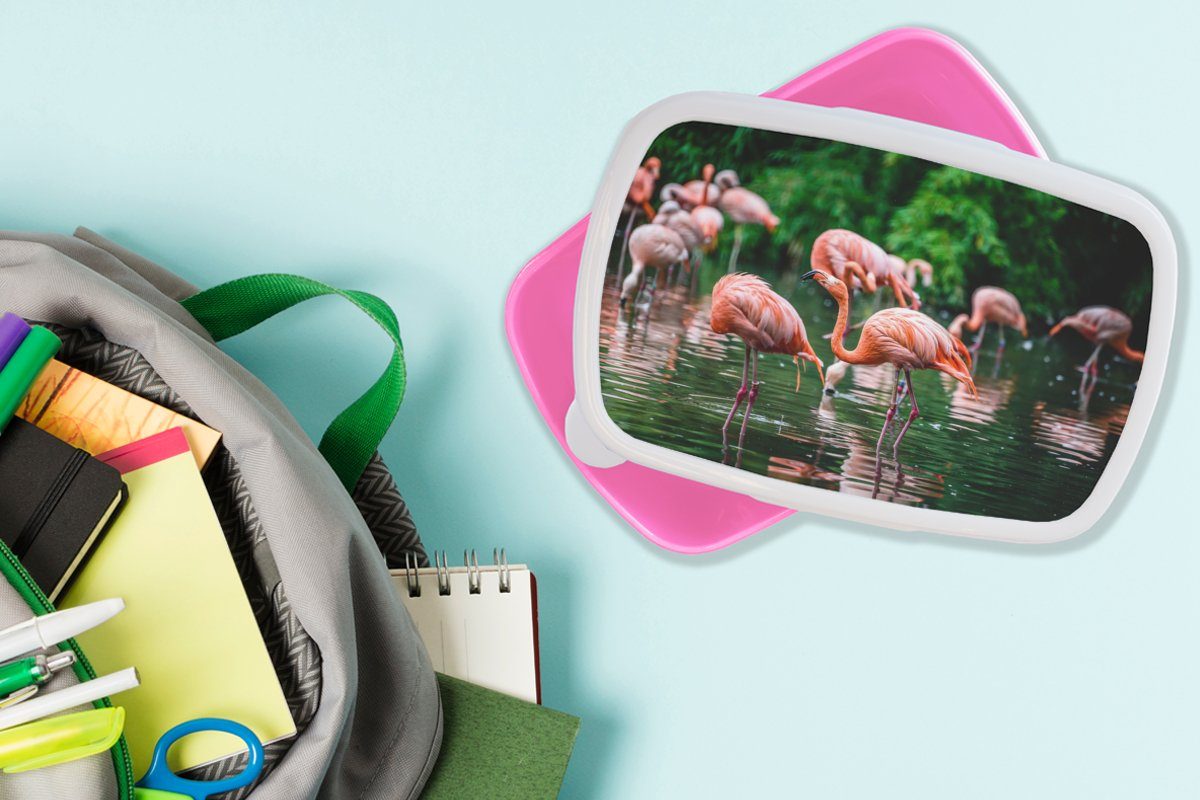 MuchoWow Flamingo für Erwachsene, Kunststoff, Lunchbox Tropisch - Brotbox - - Kunststoff - Kinder, Vogel Wasser (2-tlg), Brotdose Mädchen, Rosa, Snackbox,