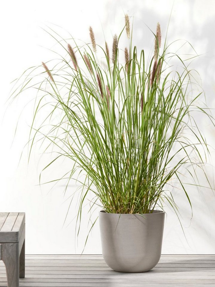 Thumbnail - ECOPOTS Blumentopf Oslo 25 Taupe, für innen und außen: frostsicher, bruchsicher und lichtbeständig