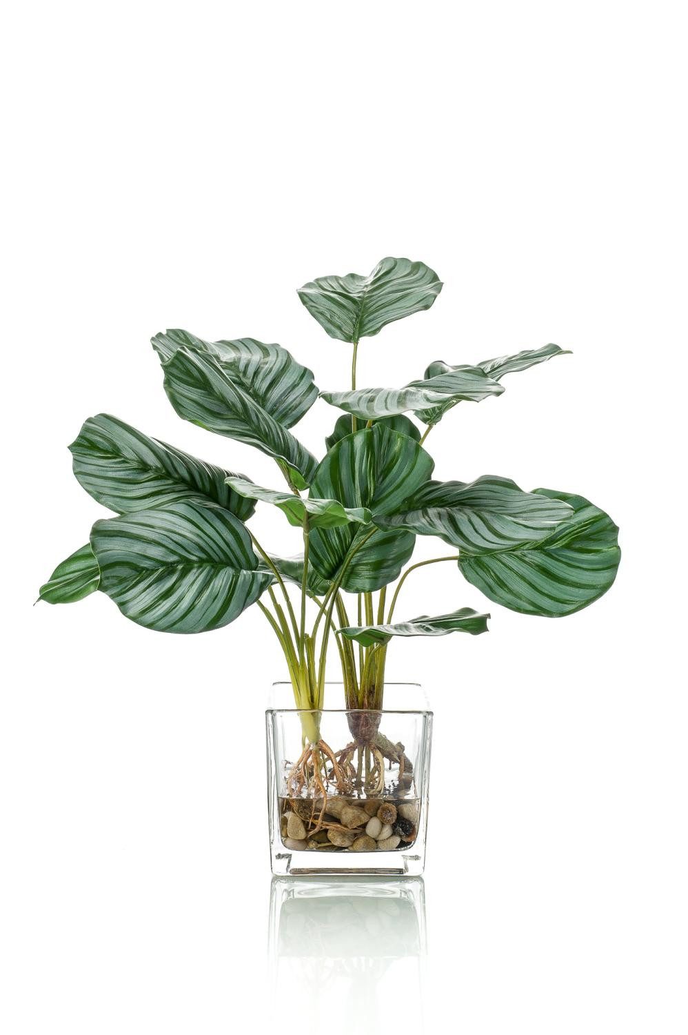 Künstliche Zimmerpflanze Deko Calathea Orbifolia AGINA im Glastopf, grün-weiß, 45cm Calathea (Calathea orbifolia), artplants, Höhe 45.0 cm