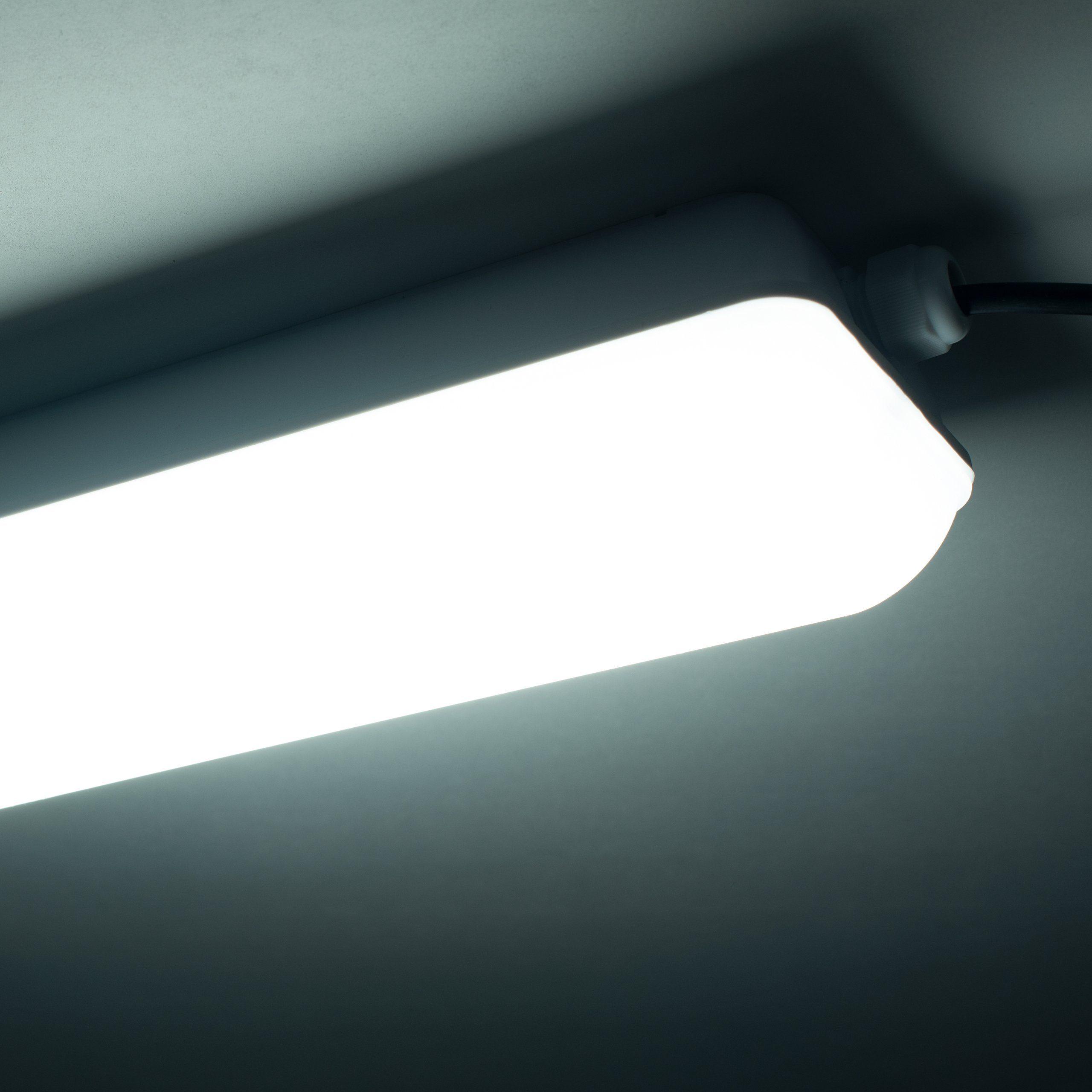 LED's MultiLED Feuchtraumleuchte, light LED PRO LED, IP65 einstellbar & Bewegungssensor Lichtfarbe IK09 Dimmung schlagfest Deckenleuchte 2710011