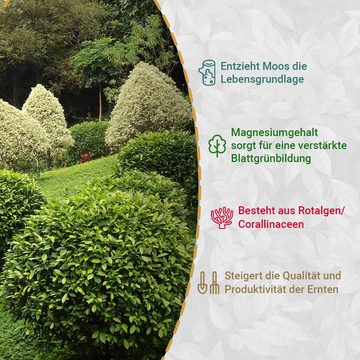 OraGarden Gartenbau-Substrat OraGarden Düngermann Algenkalkpulver Pulver