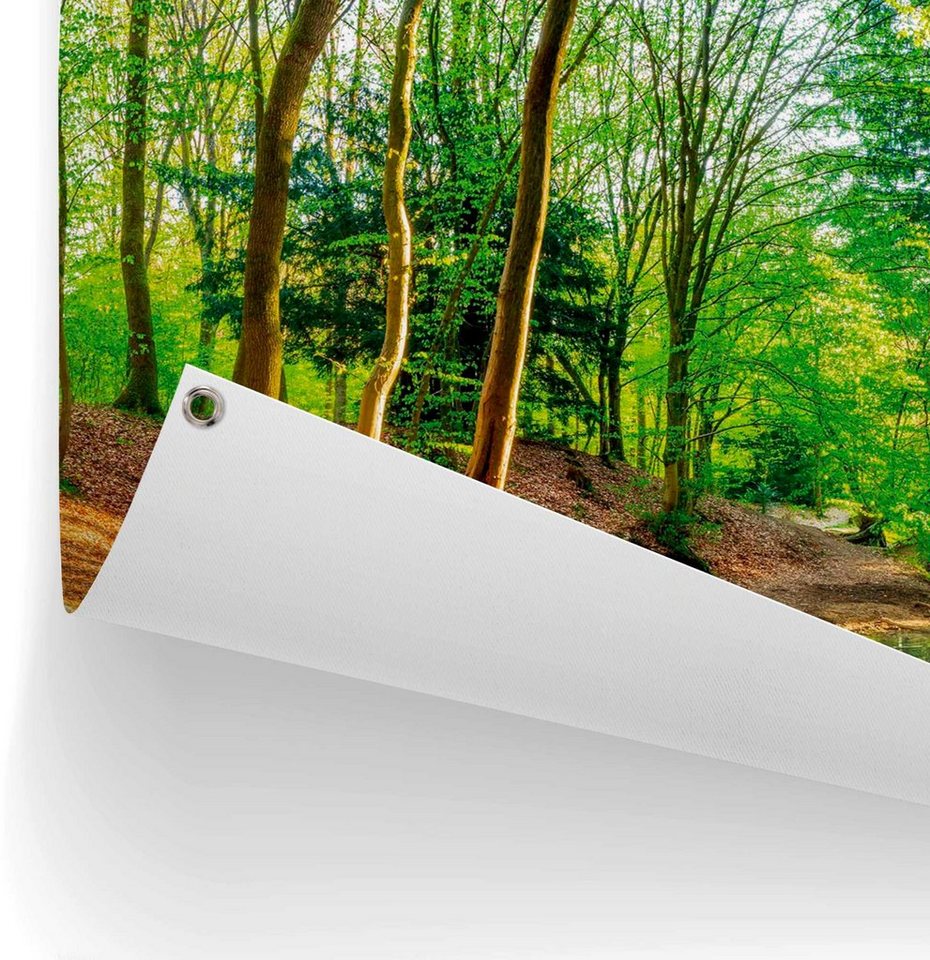 Reinders! Poster Sonniger Wald, Aufhängung mittels Schrauben, Haken oder  Gummibändern