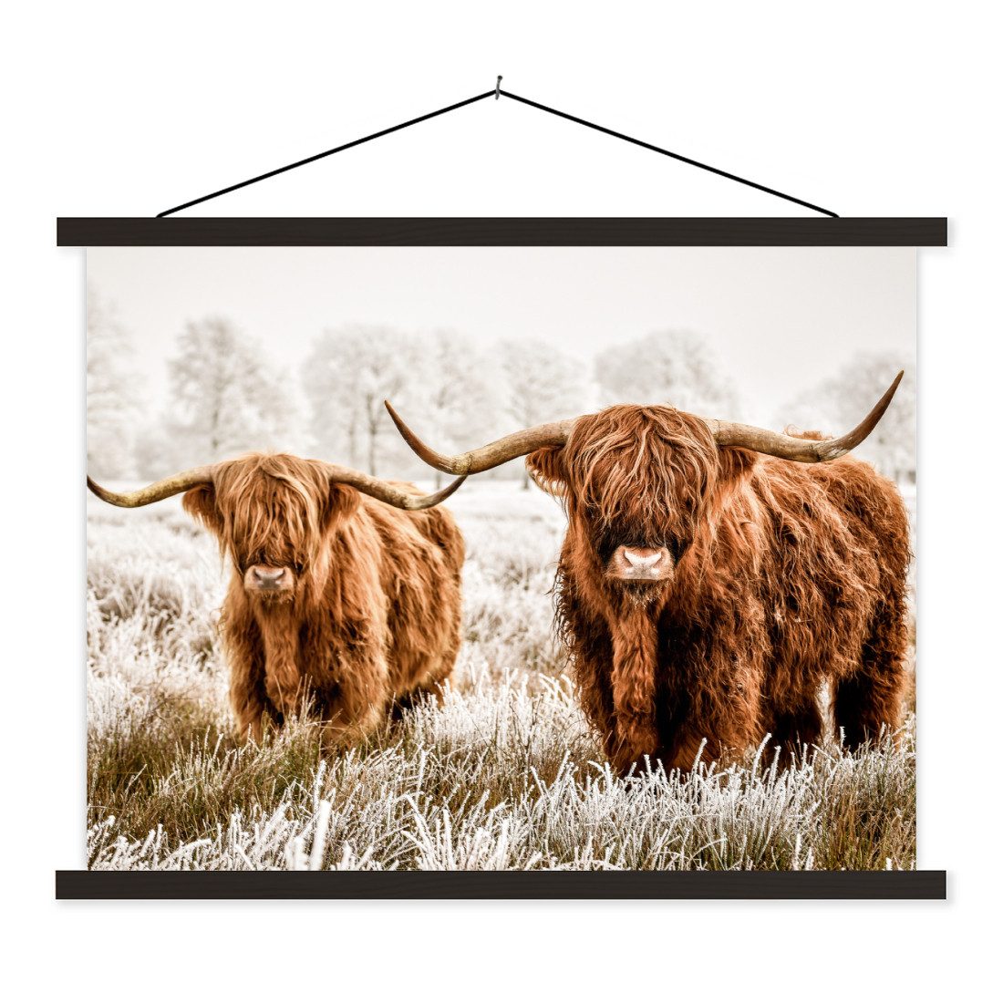Poster Schottischer Hochländer - Kuh - Natur - Winter