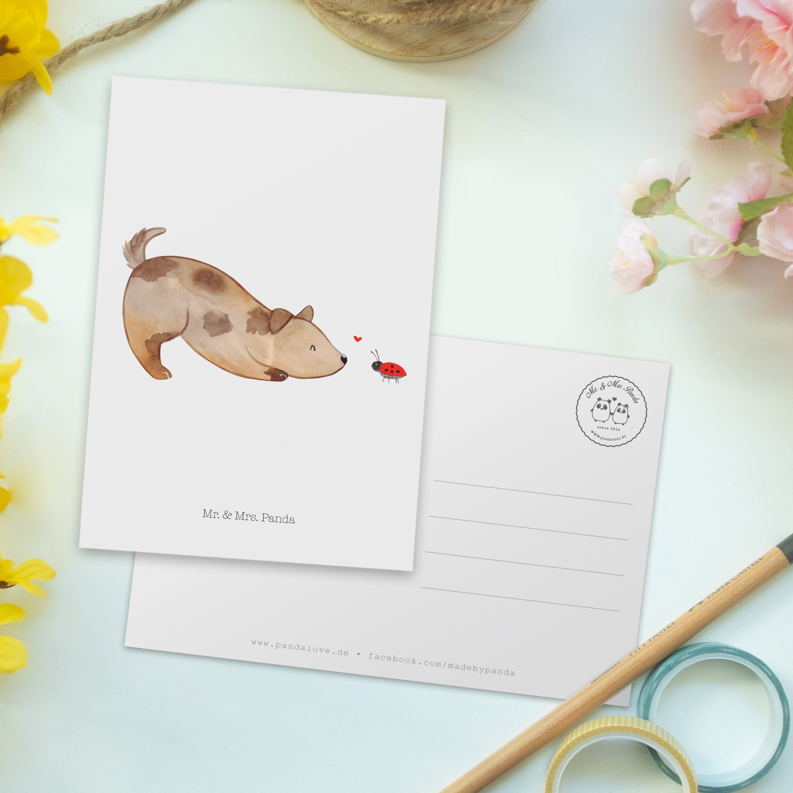 Weiß - Geschenk, Vierbeiner, Mr. - Hund Marienkäfer Mischlinghund, Geburt Mrs. & Postkarte Panda