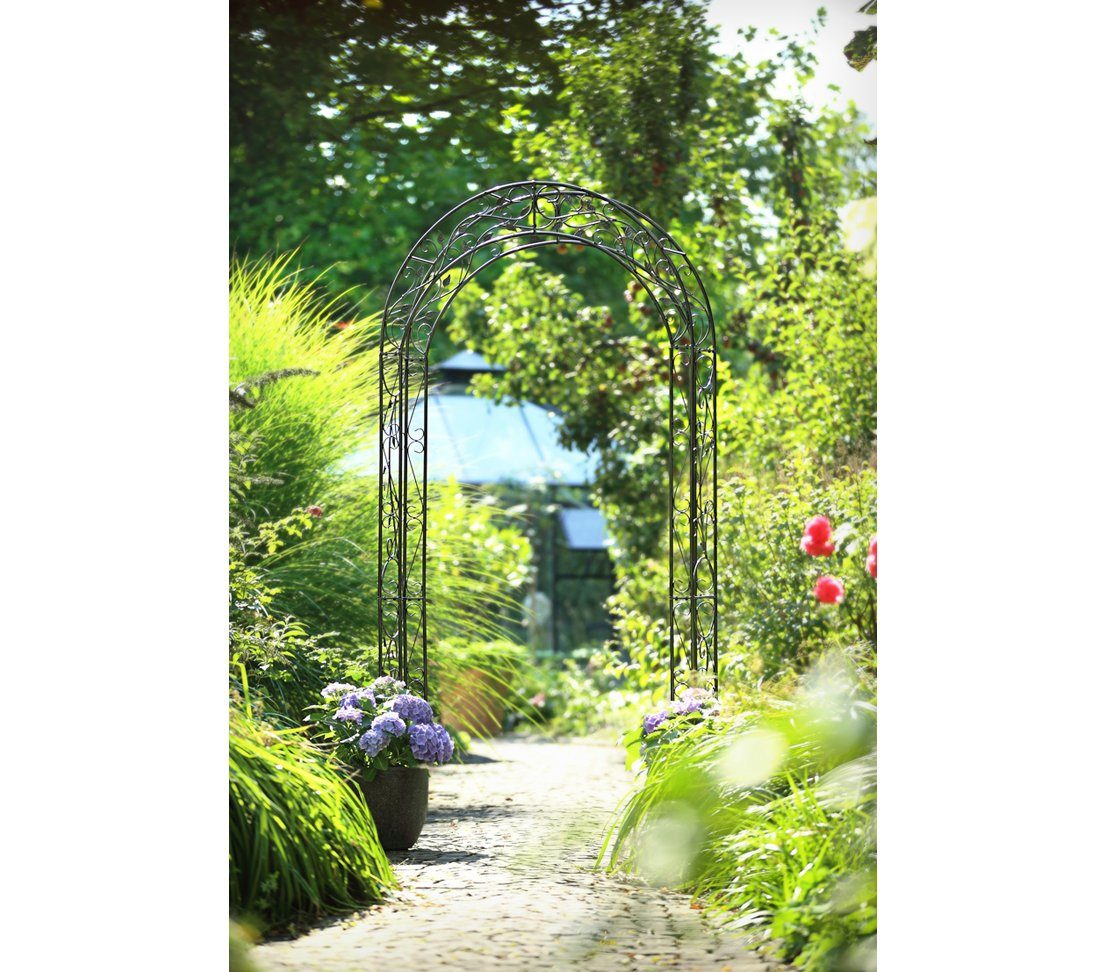 Dehner Rosenbogen Cornwall, 236 x 118 x 31 cm, Metall, nostalgische Rankhilfe für Rosen, wetterbeständig